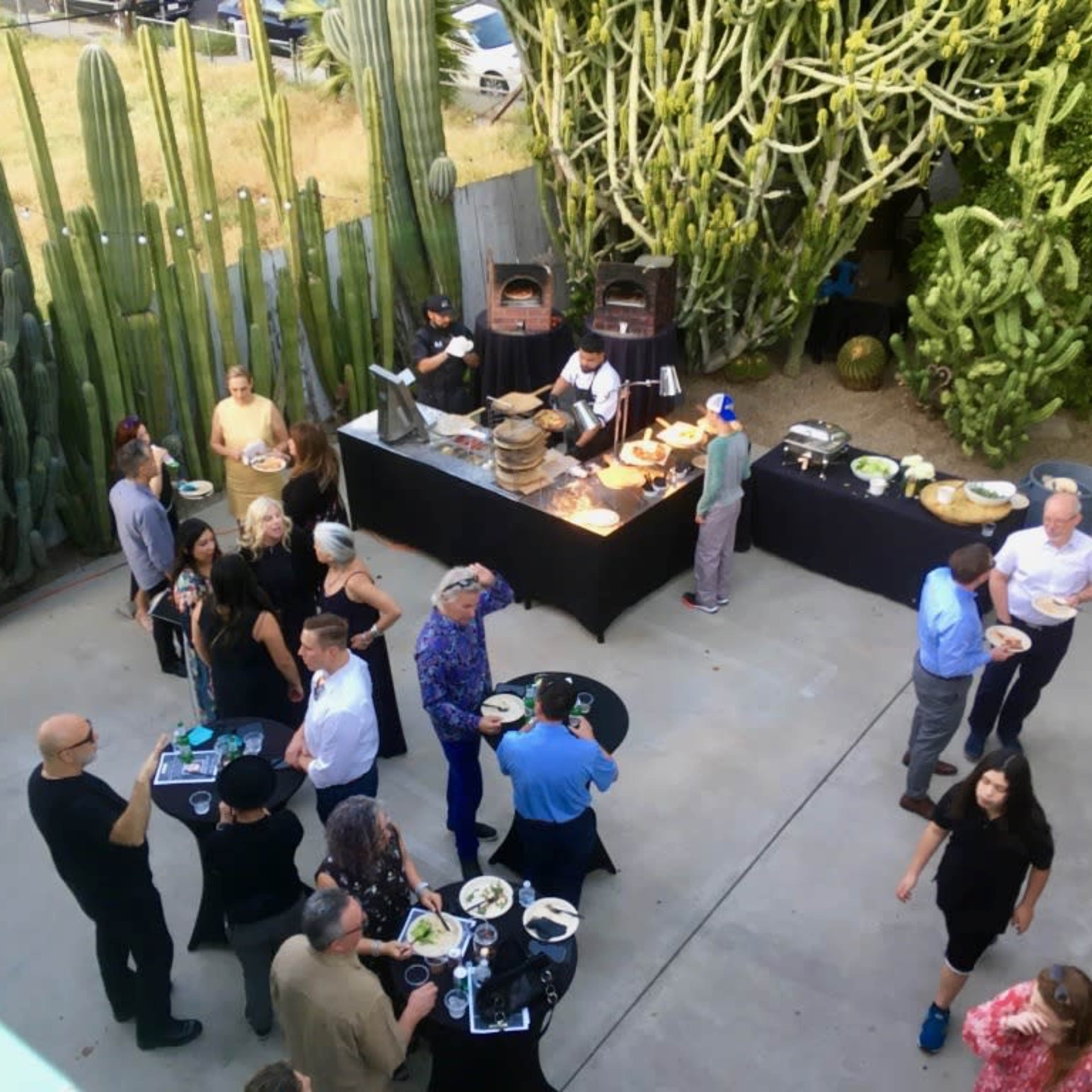 A group of people mingles at an outdoor event with food stations surrounded by tall cacti.