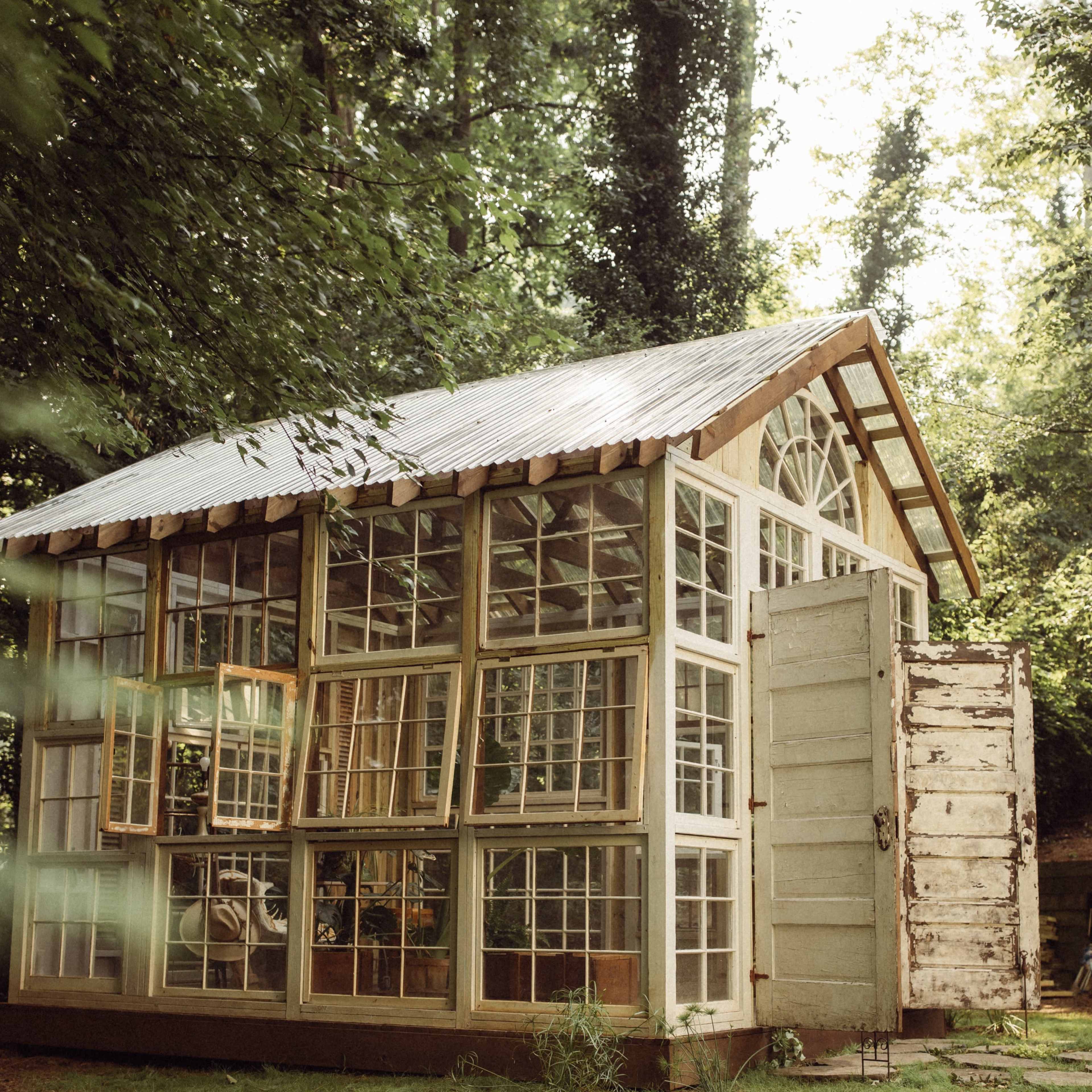 A large greenhouse made of wooden frames and multiple windows, set in a grassy area surrounded by trees.