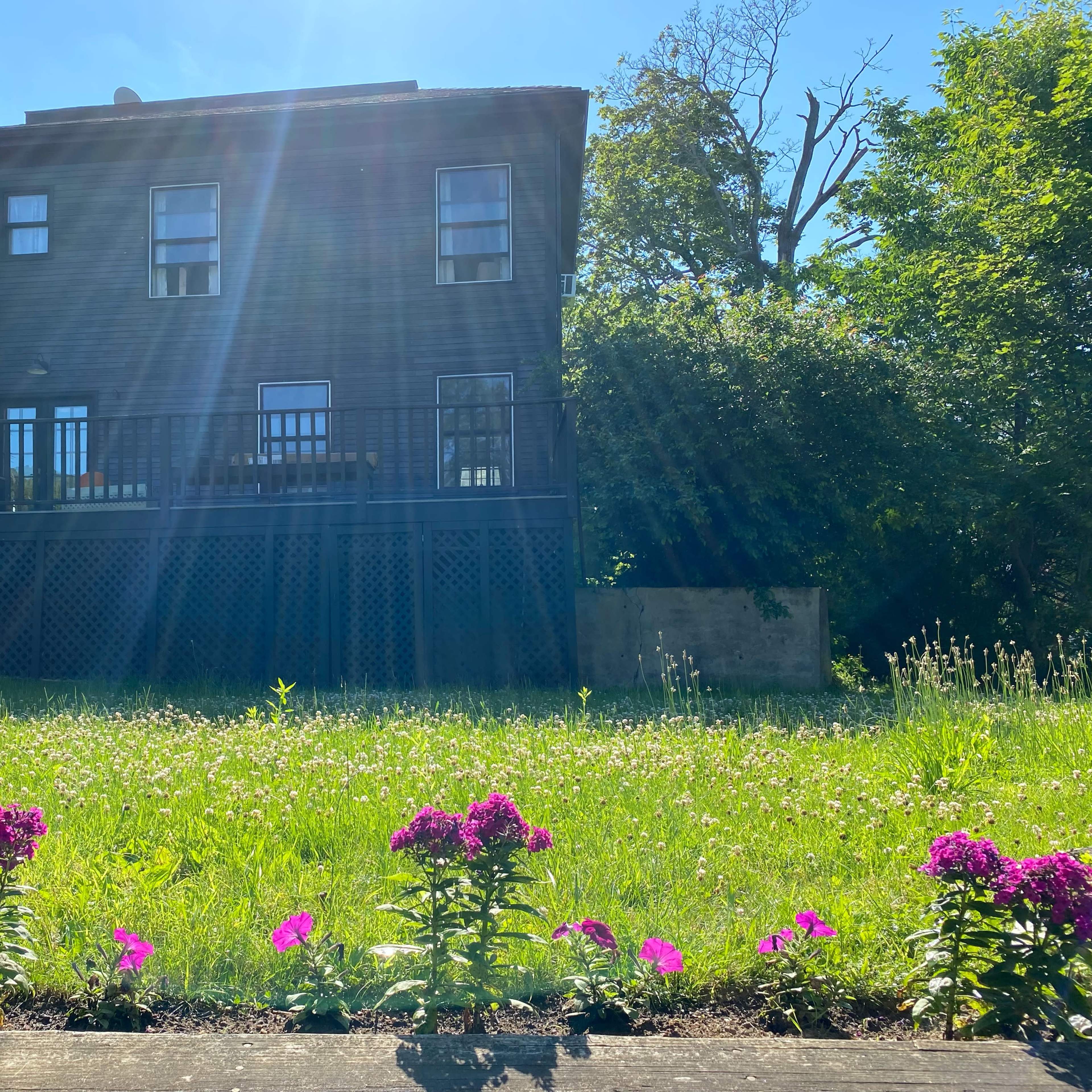 A black farmhouse with multiple windows stands behind a grassy area adorned with pink and white flowers.