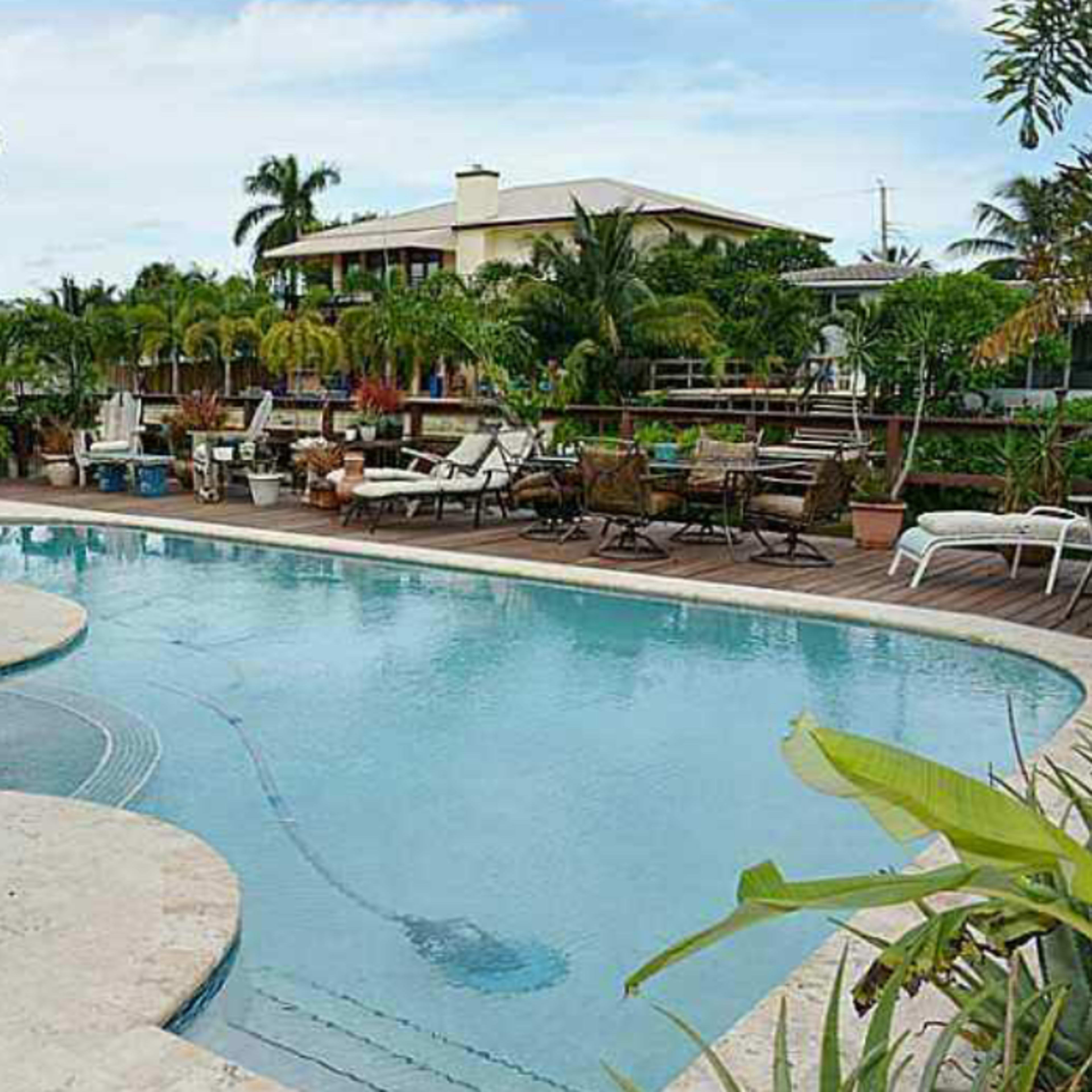 A swimming pool with a curved edge is surrounded by lounge chairs and tropical plants, adjacent to a house and palm trees.