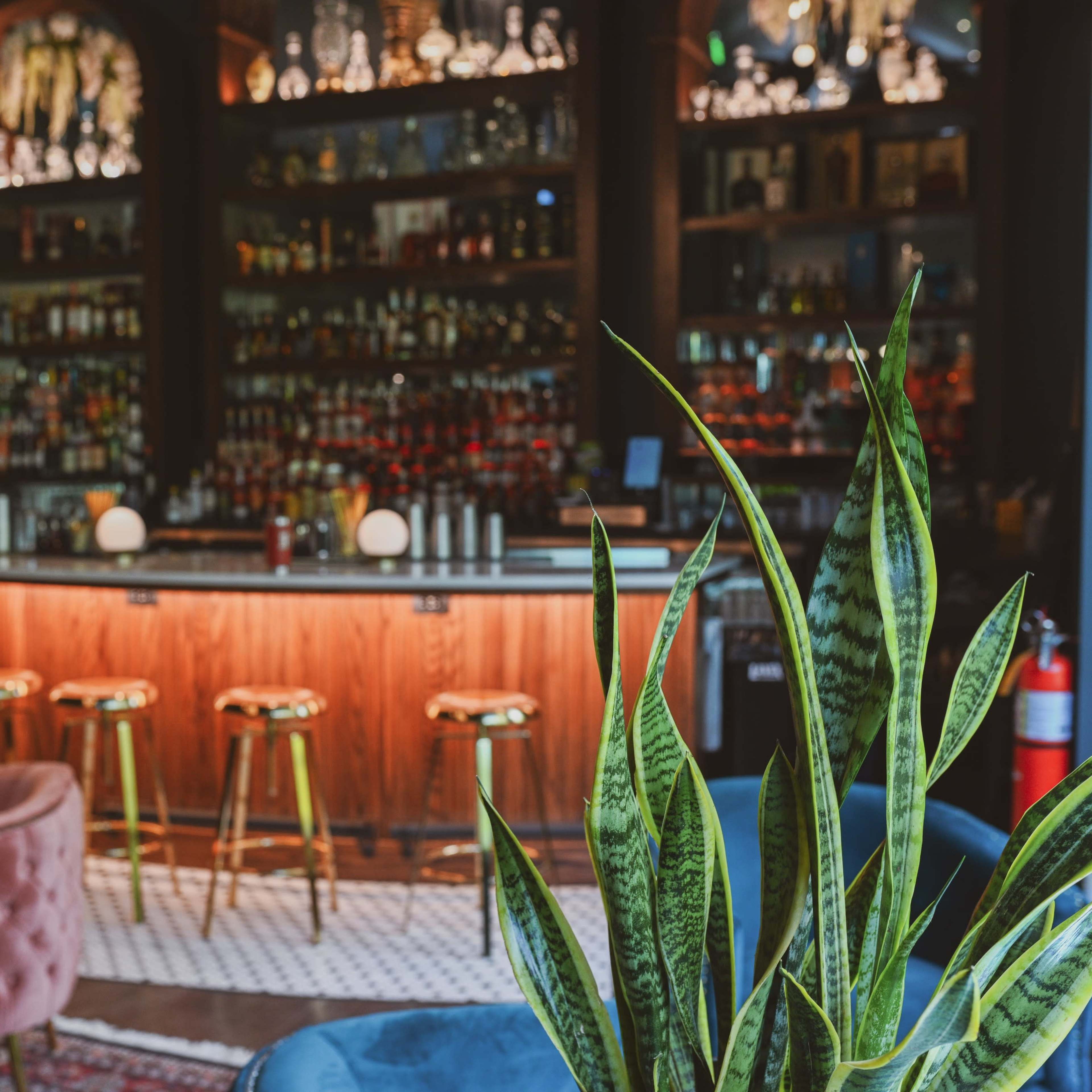Luxe Social Club in historic downtown Powell with speak easy vibes Image in Liberty Township, Powell, OH