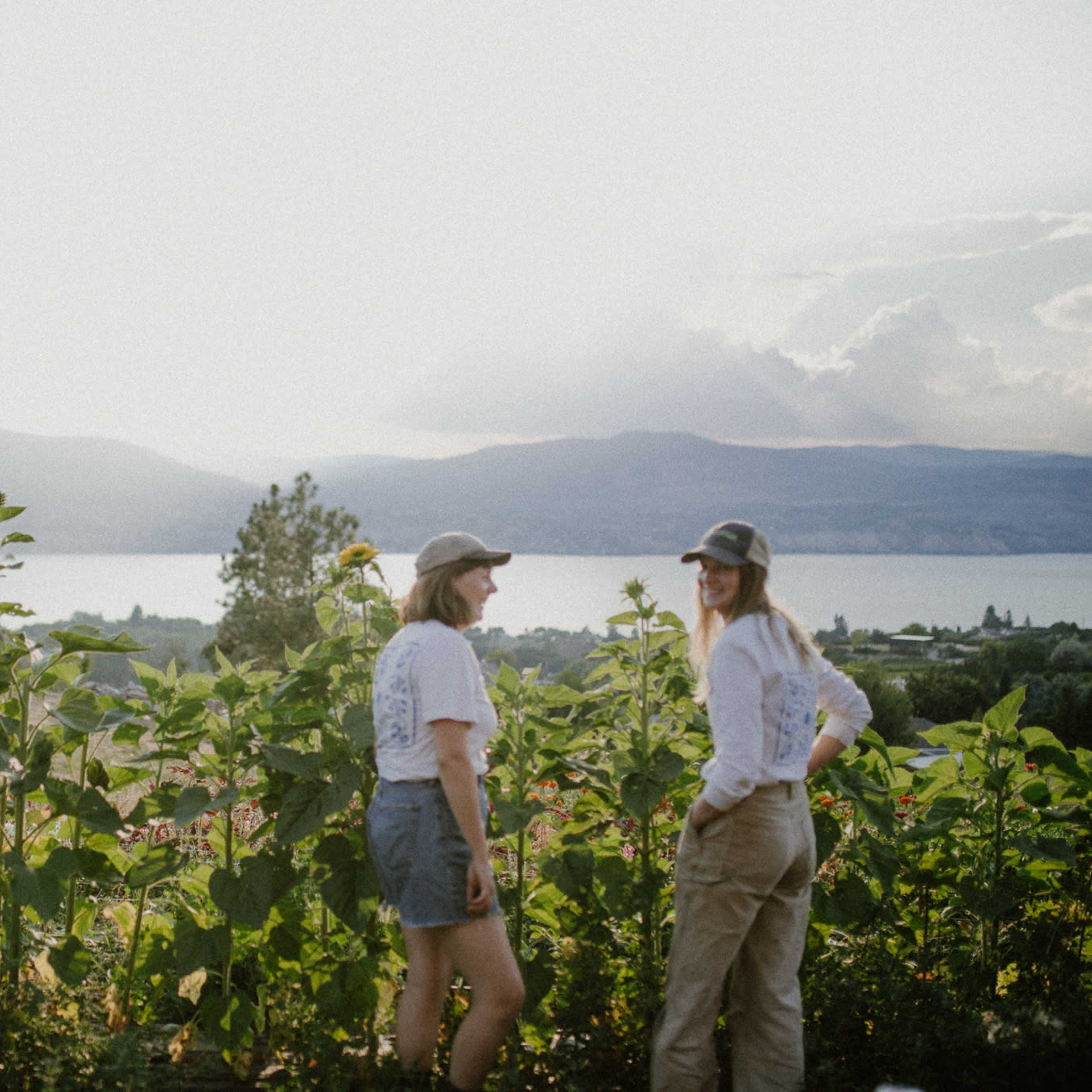Vegetable and Flower Farm with Lake View Image in Naramata, Naramata, BC