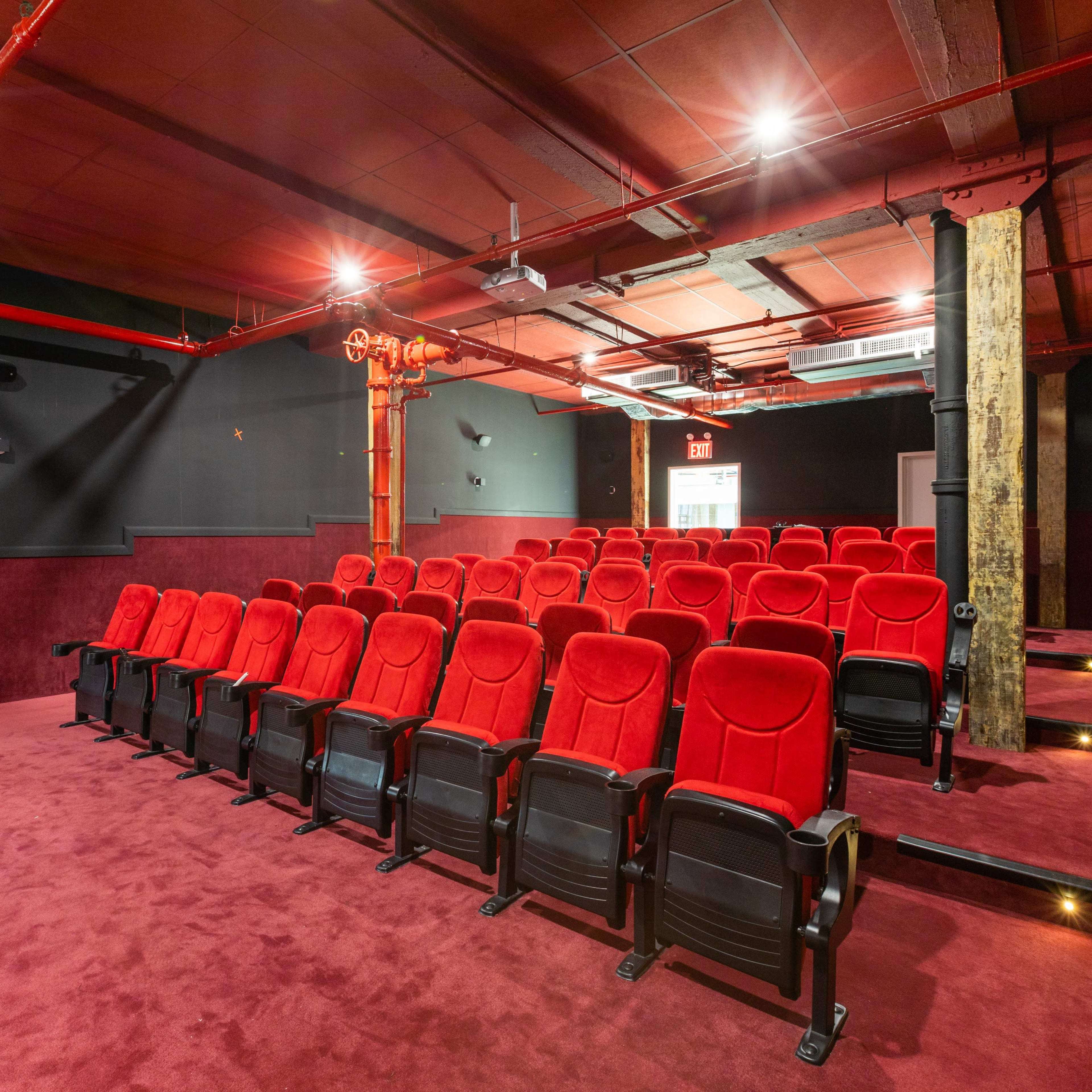 A small, modern cinema room with red velvet seating arranged in rows on a carpeted floor.