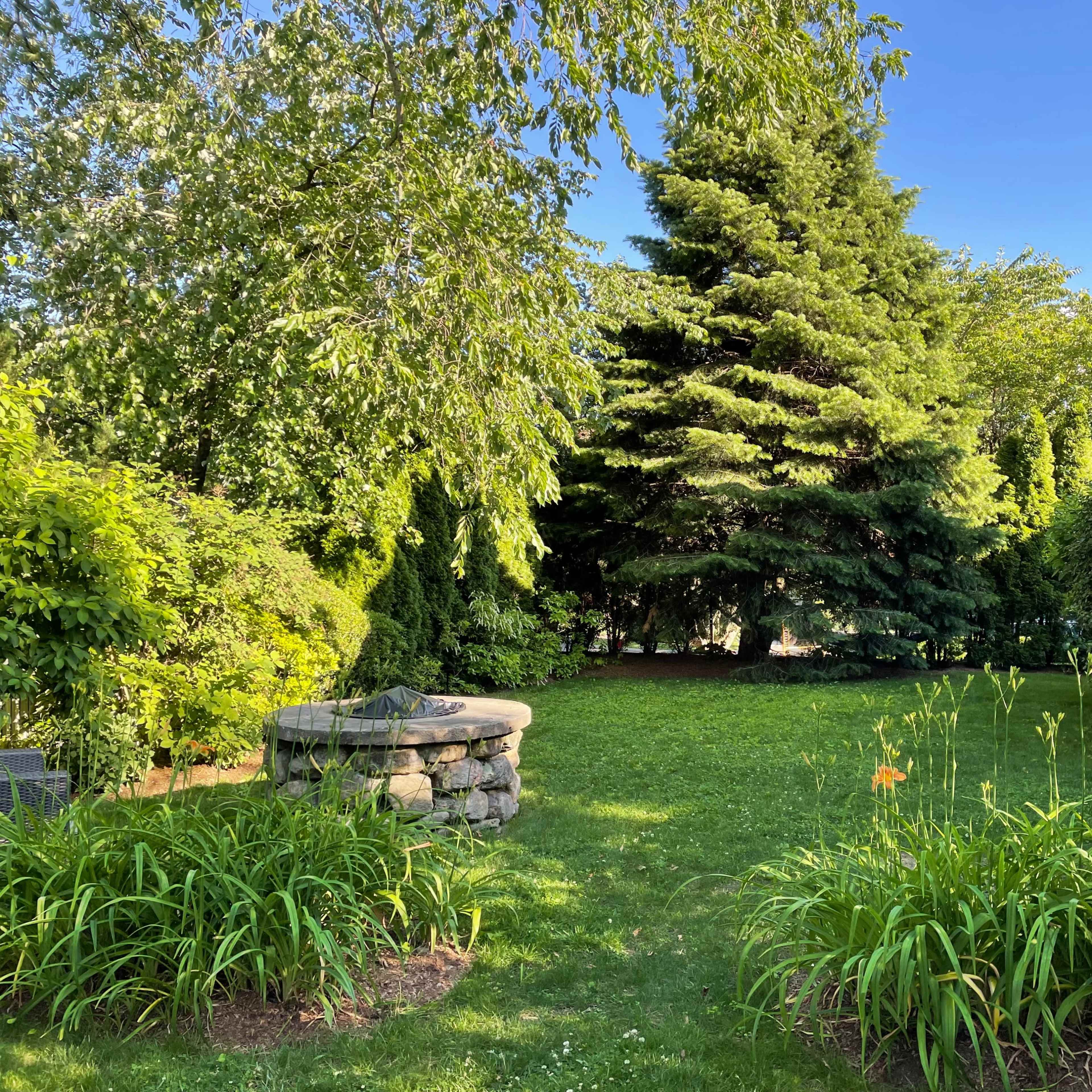 A lush green garden with a stone well surrounded by various plants and trees.