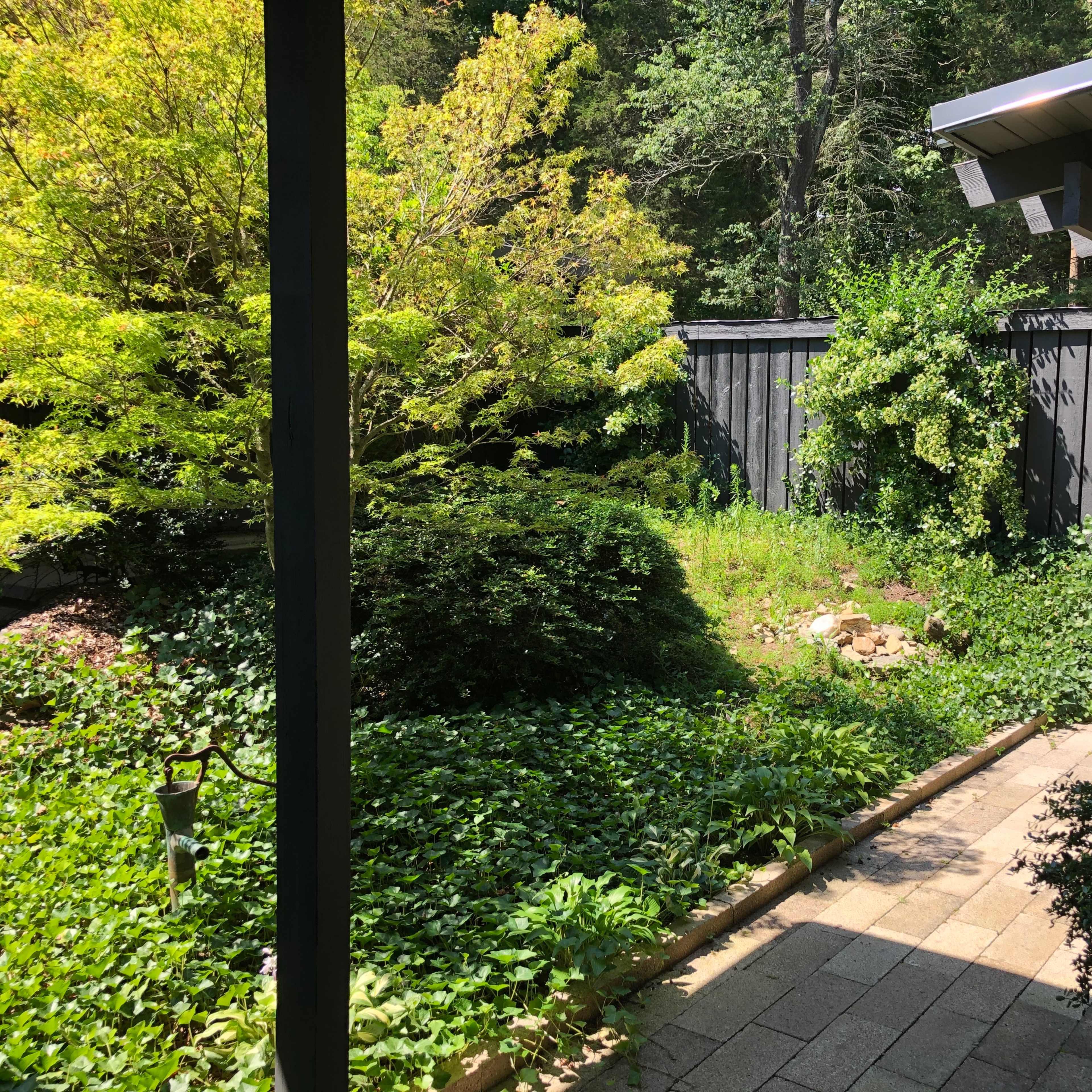 A pathway lined with greenery leads to a wooden structure surrounded by trees and shrubs.