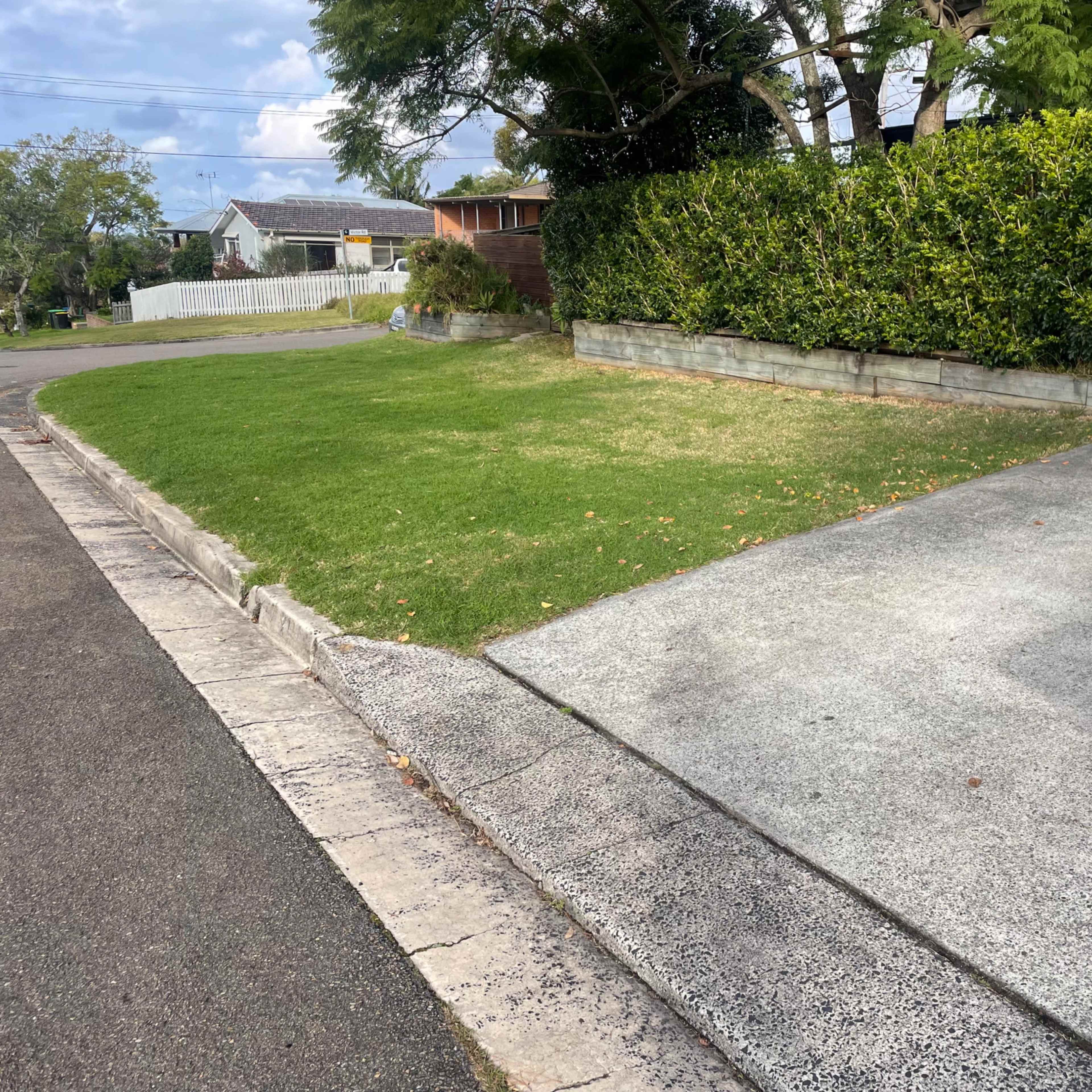 A grassy area next to a concrete driveway and a hedge along a residential street.