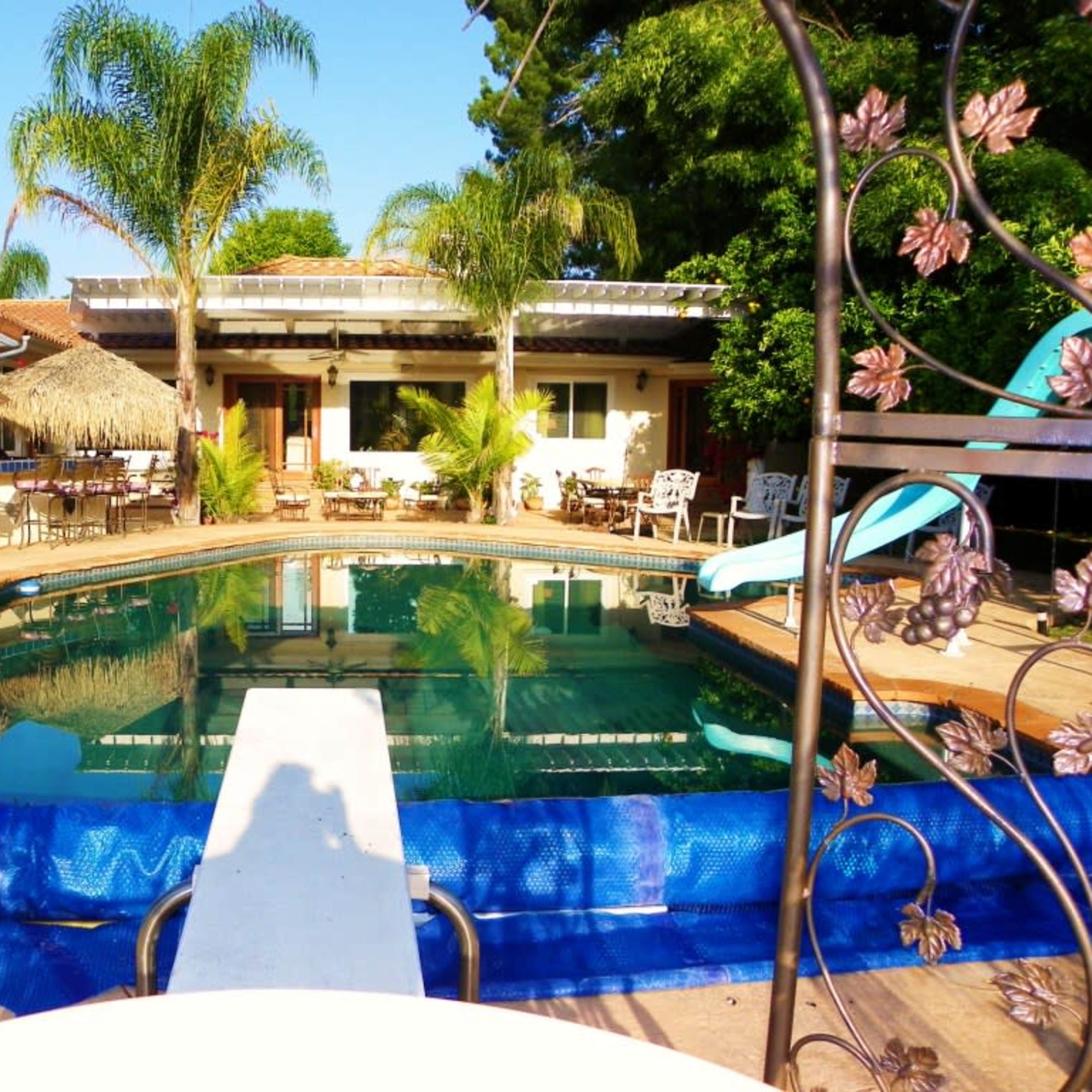 A swimming pool surrounded by palm trees and lounge chairs, with a diving board in the foreground and a house visible in the background.
