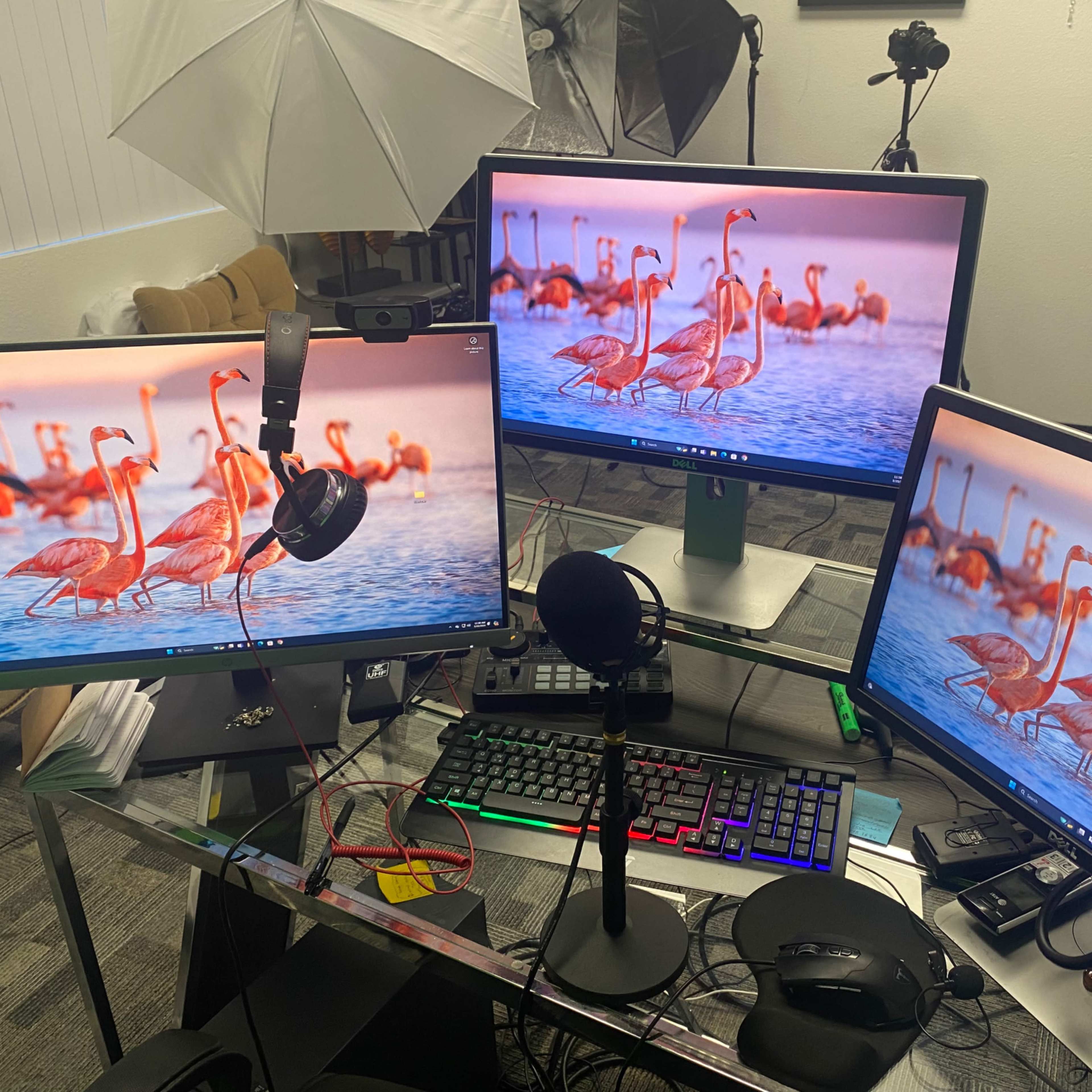 A workspace setup featuring two monitors displaying an image of flamingos, with a microphone, keyboard, and mouse on a glass desk.