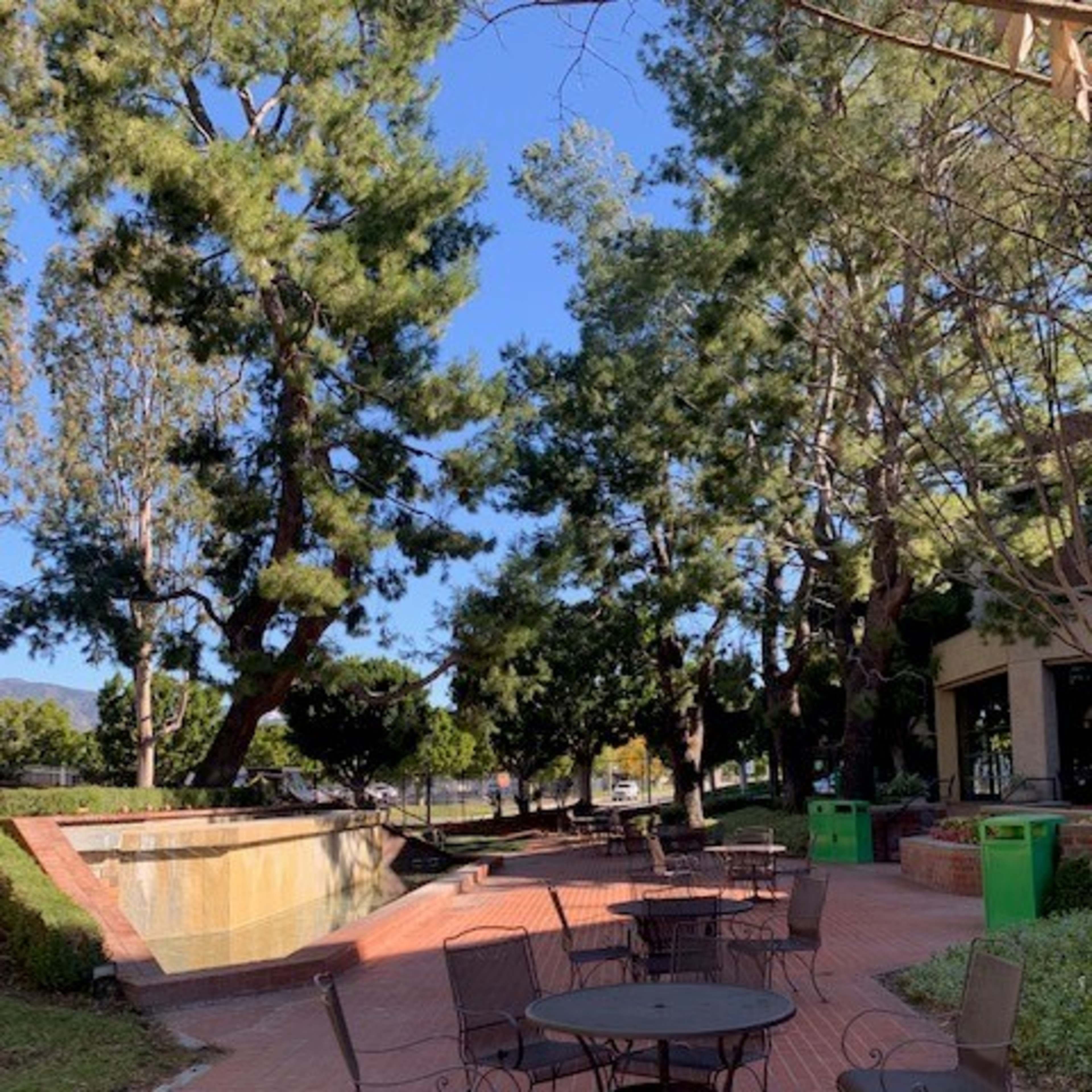 A brick walkway lined with small metal tables and chairs, surrounded by trees and leading to a water feature.