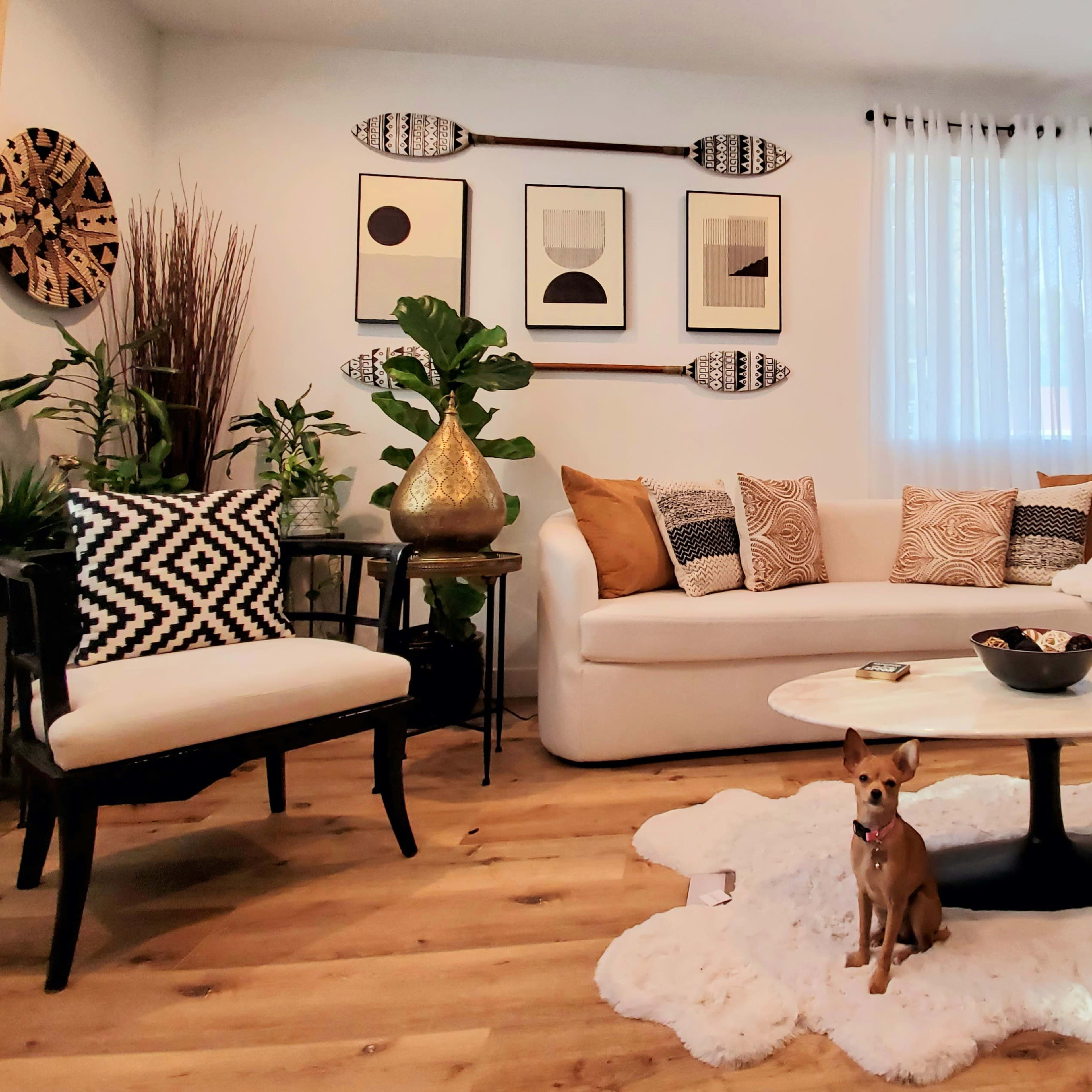 A cozy living room features a white sofa with patterned cushions, two black chairs, a round coffee table, and a small dog on a fluffy rug, surrounded by indoor plants.