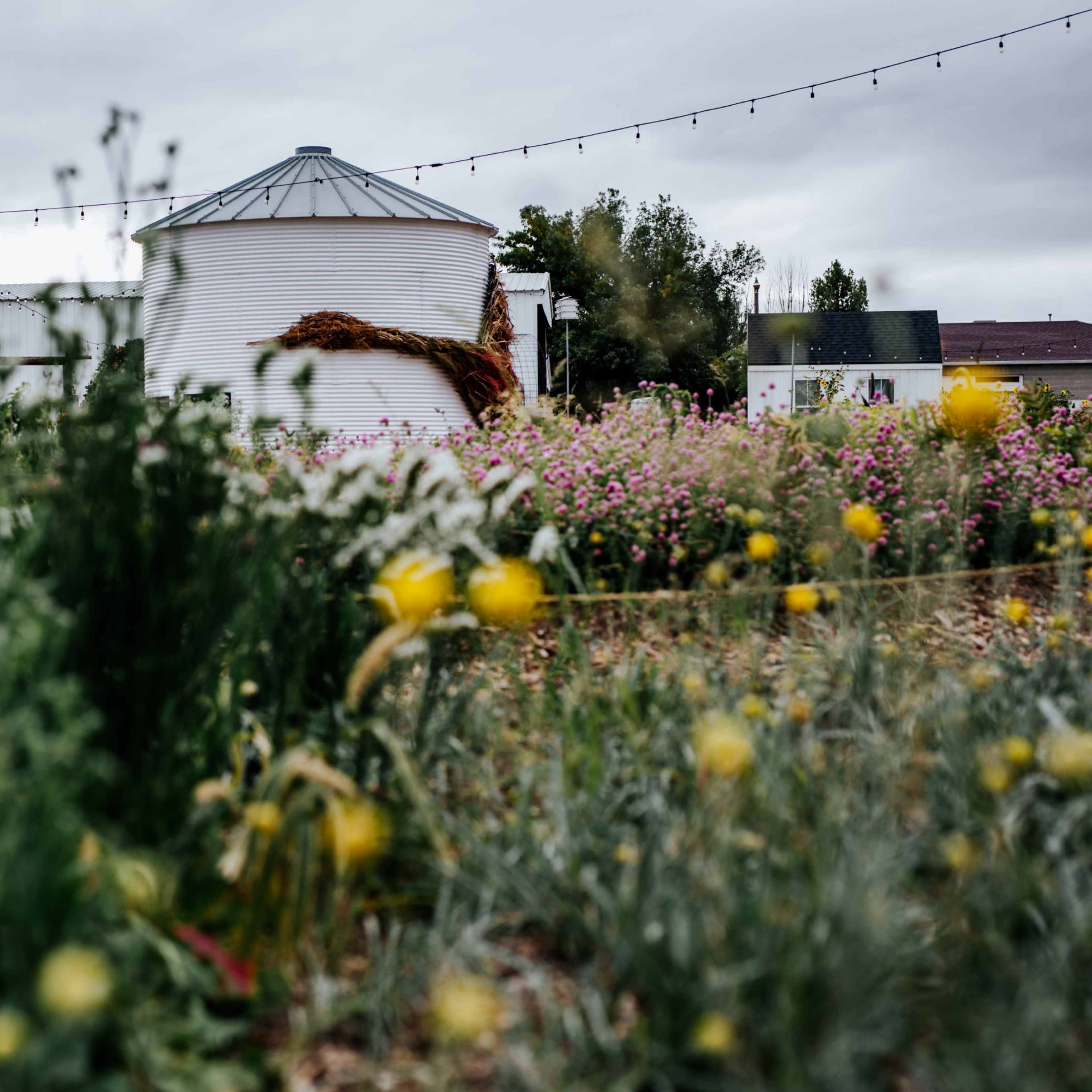 Outdoor Meadow Gathering Grounds with Botanical and Mountain Views Image in Riverton, Riverton, UT