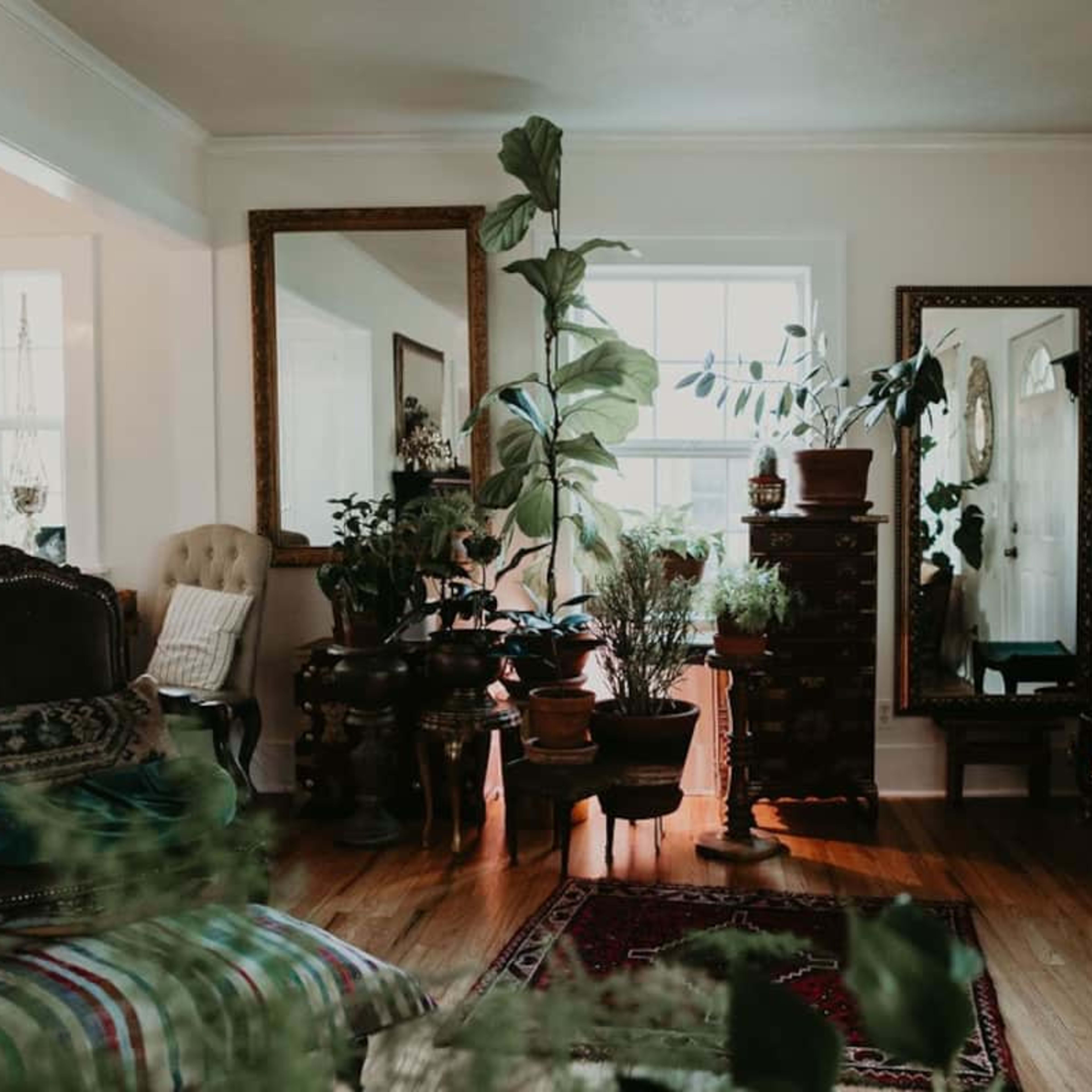 The living room features a mix of vintage furniture and numerous indoor plants, with large mirrors reflecting light and greenery.