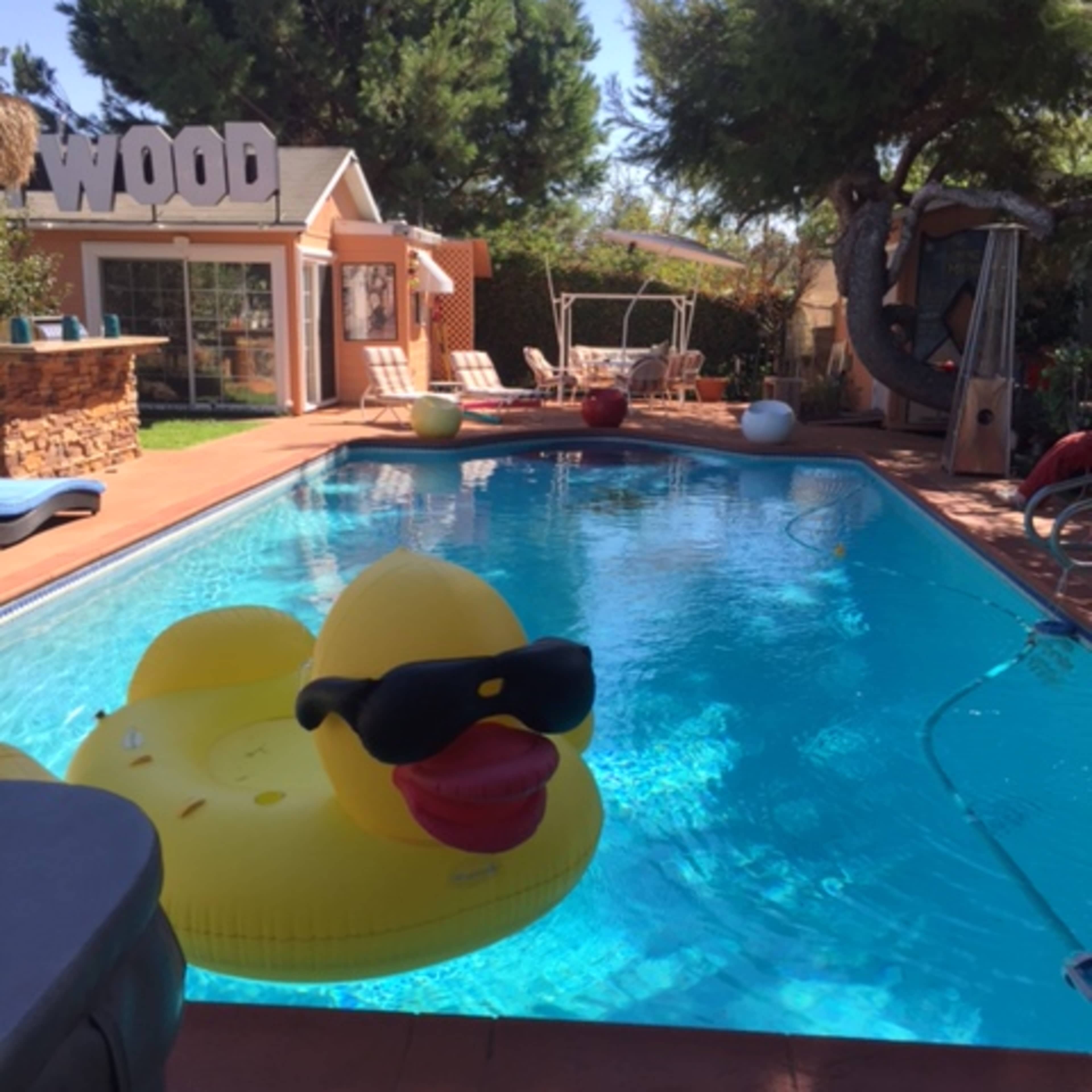 A large inflatable yellow duck wearing sunglasses floats in a swimming pool surrounded by a landscaped backyard.