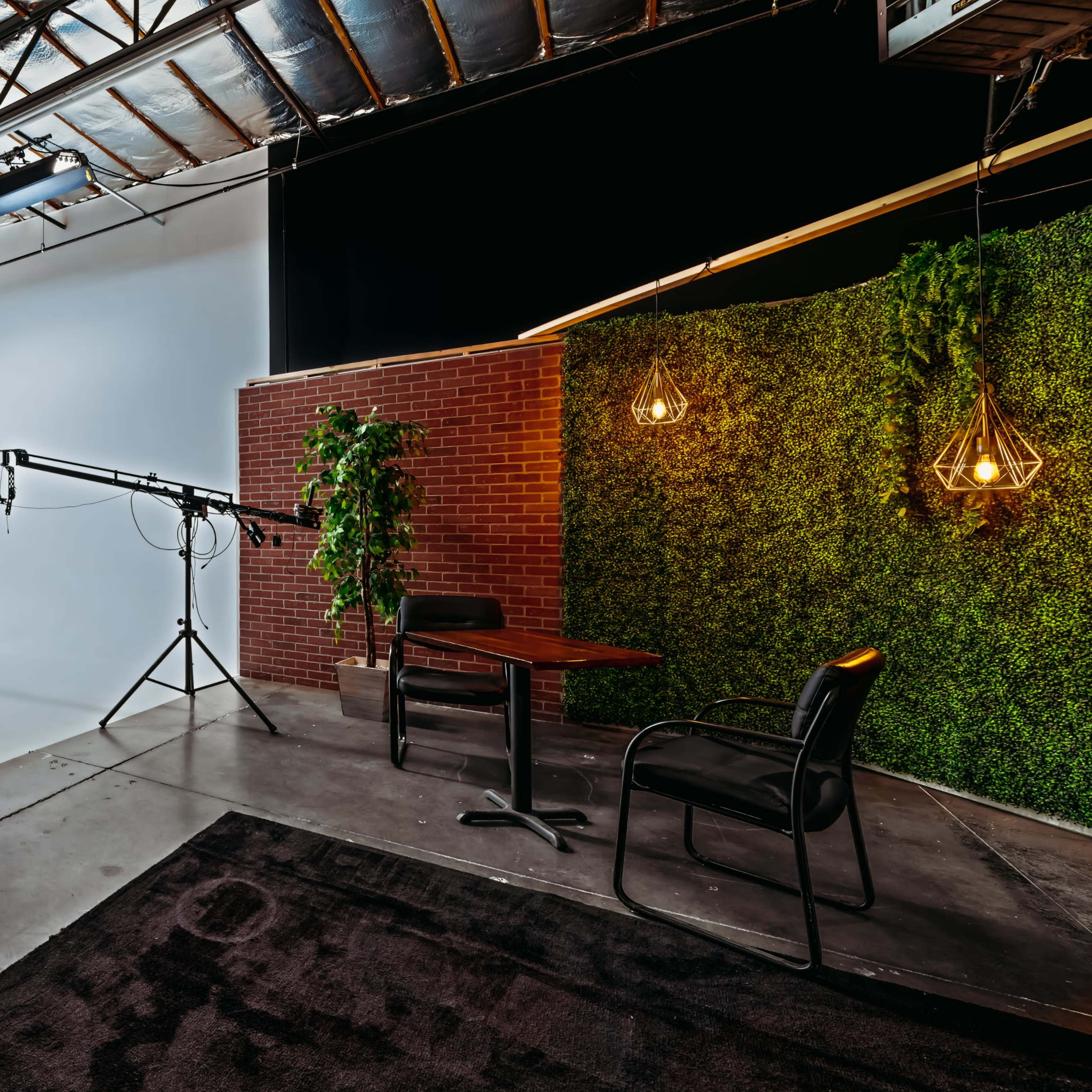 A photography studio with a plain backdrop, camera equipment, a table and chair, and a green plant wall.