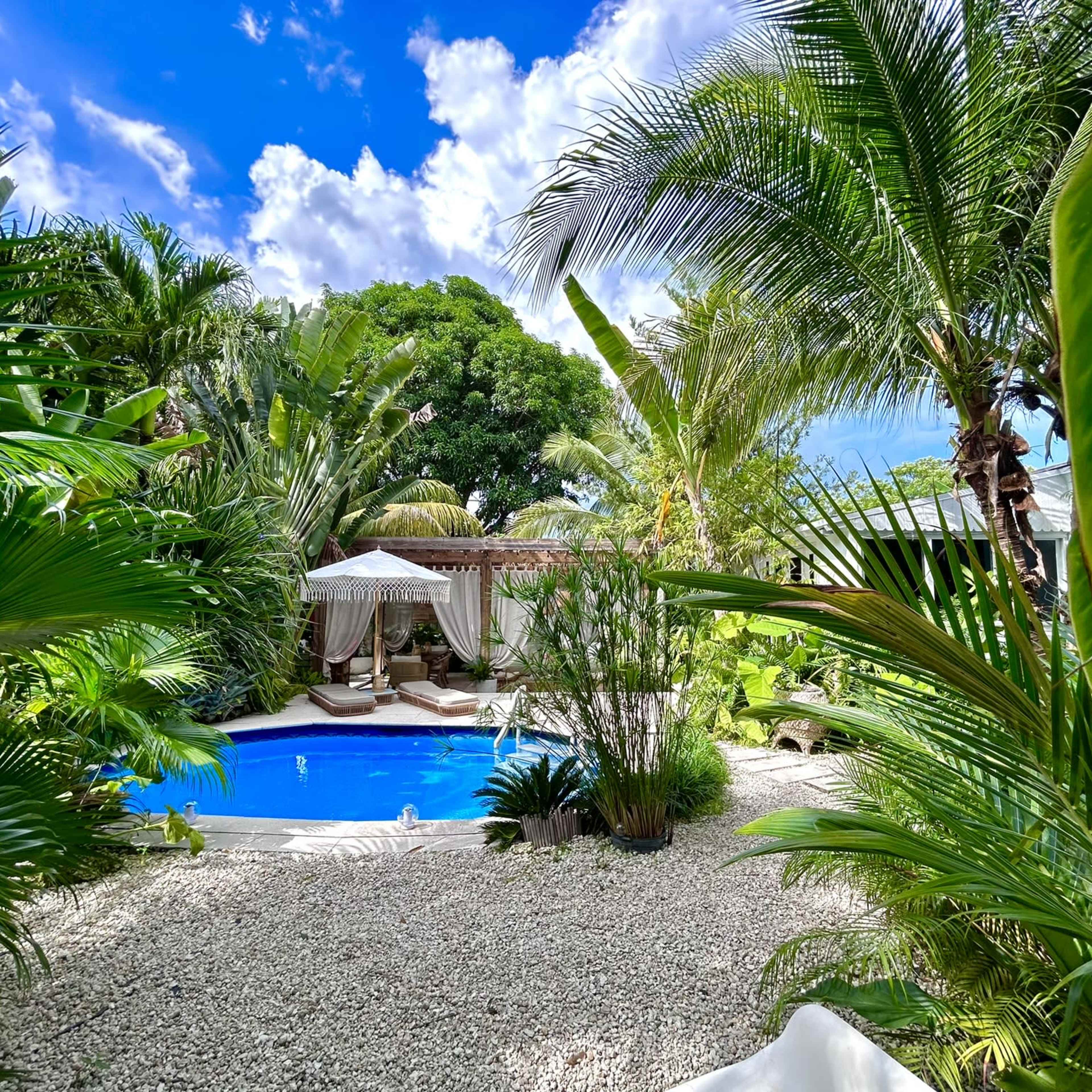 Santuarium Miami Image in Coral Way, Miami, FL
