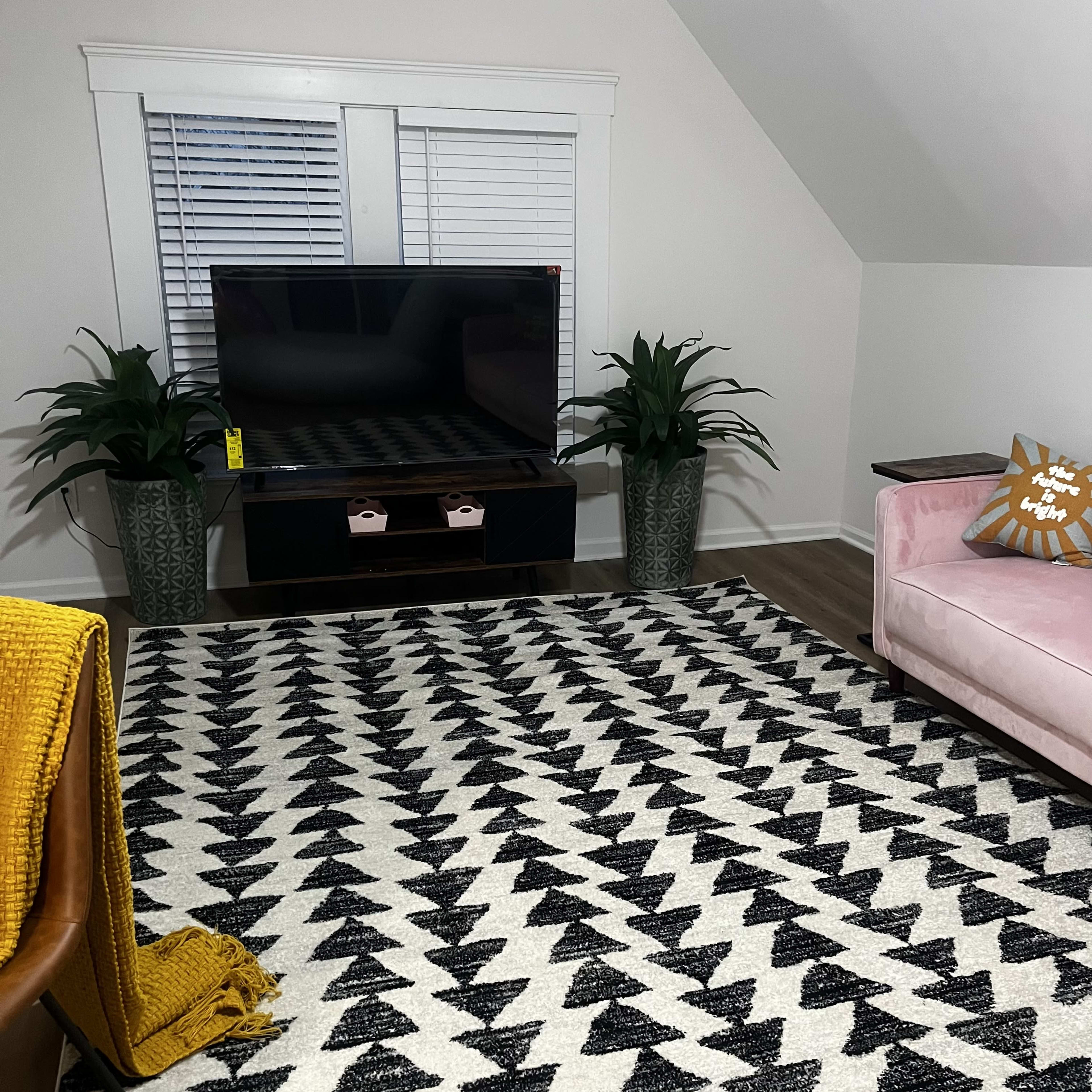 A modern living room features a pink sofa, a black and white patterned rug, a TV on a low stand, and two tall plants in decorative pots.