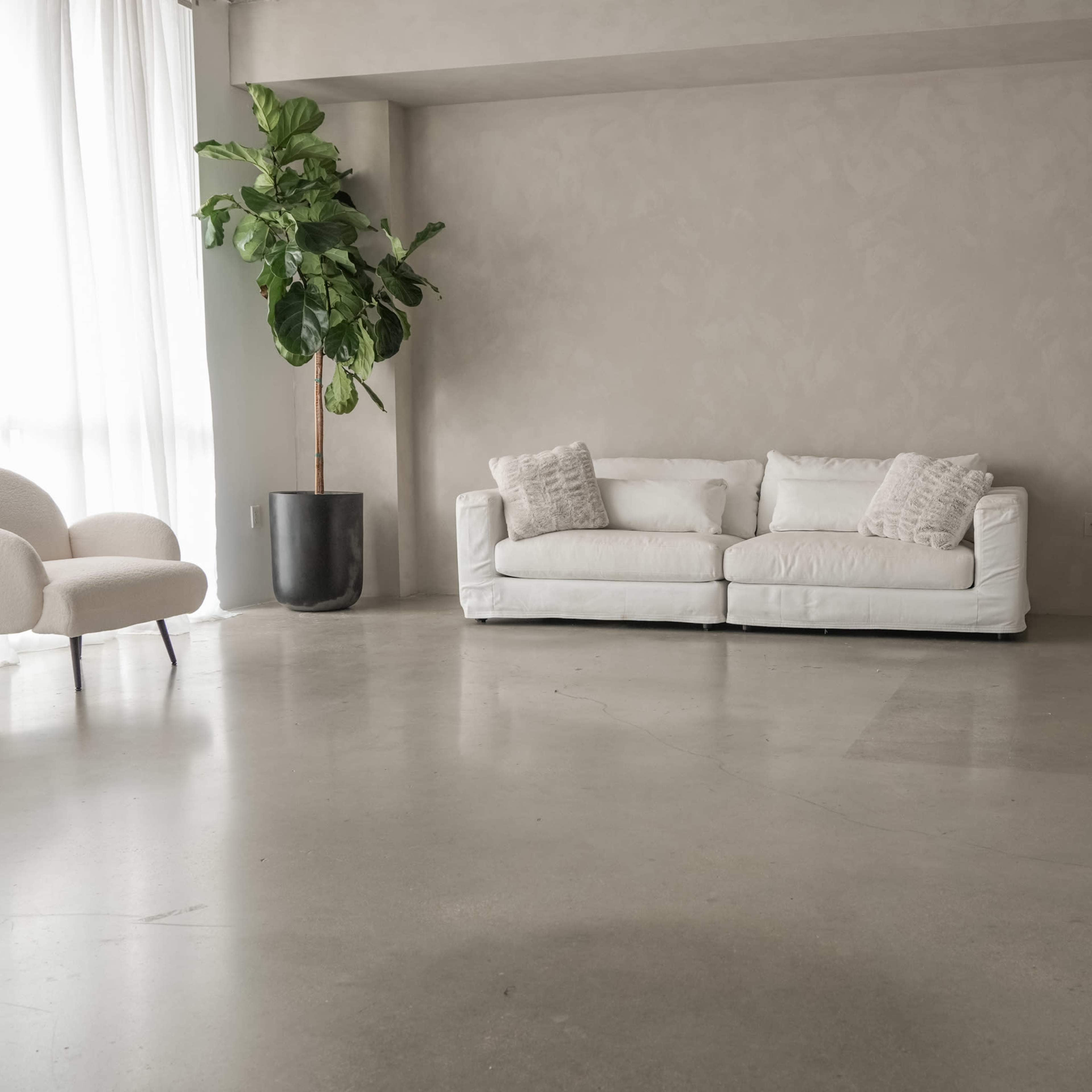 A spacious room with two white sofas, a modern armchair, and a large potted plant, all set against a light-colored wall.