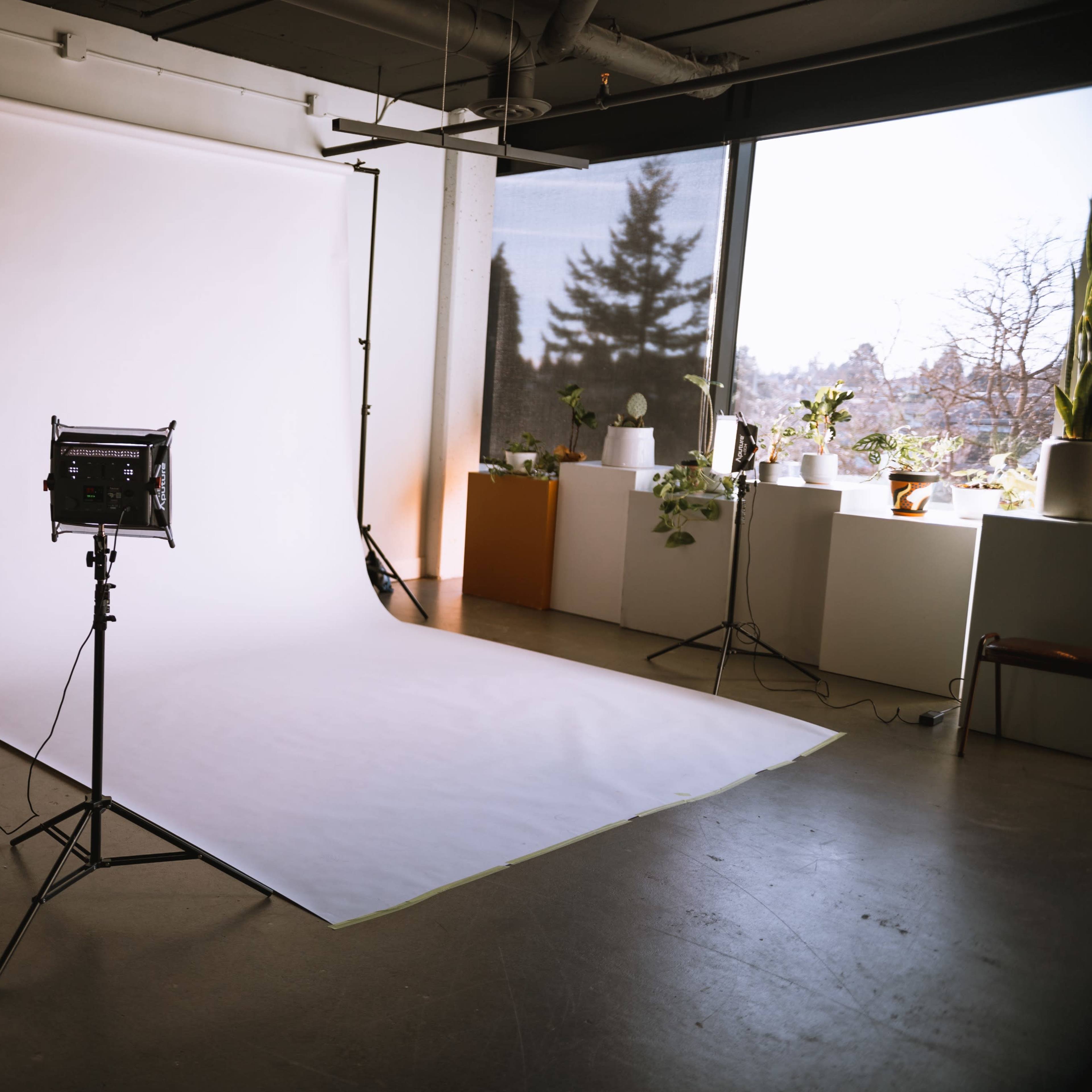 A photography studio features a white backdrop and soft lighting equipment, surrounded by potted plants and natural light from large windows.