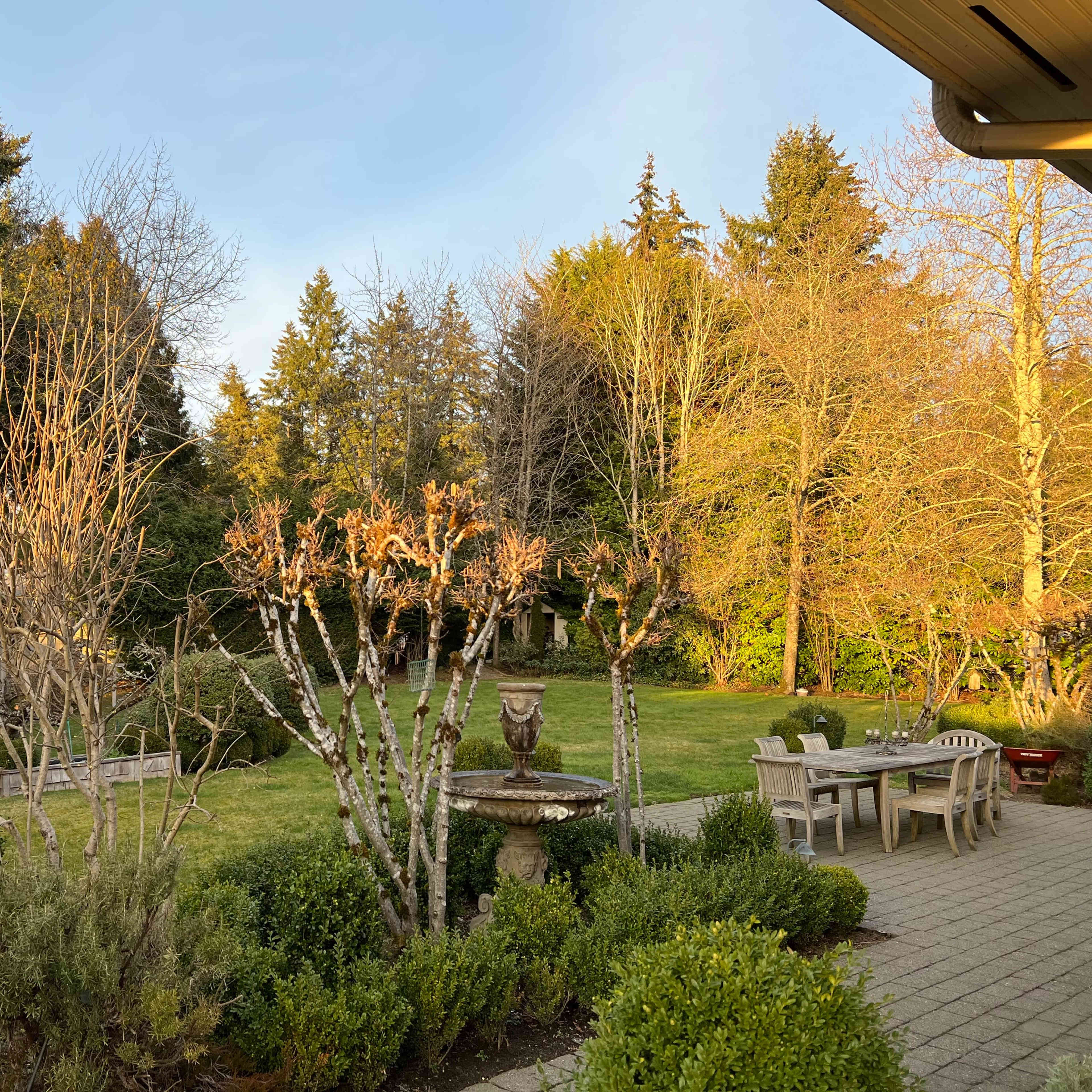 A landscaped garden with bare trees, a grassy lawn, and a stone patio featuring a table and chairs.