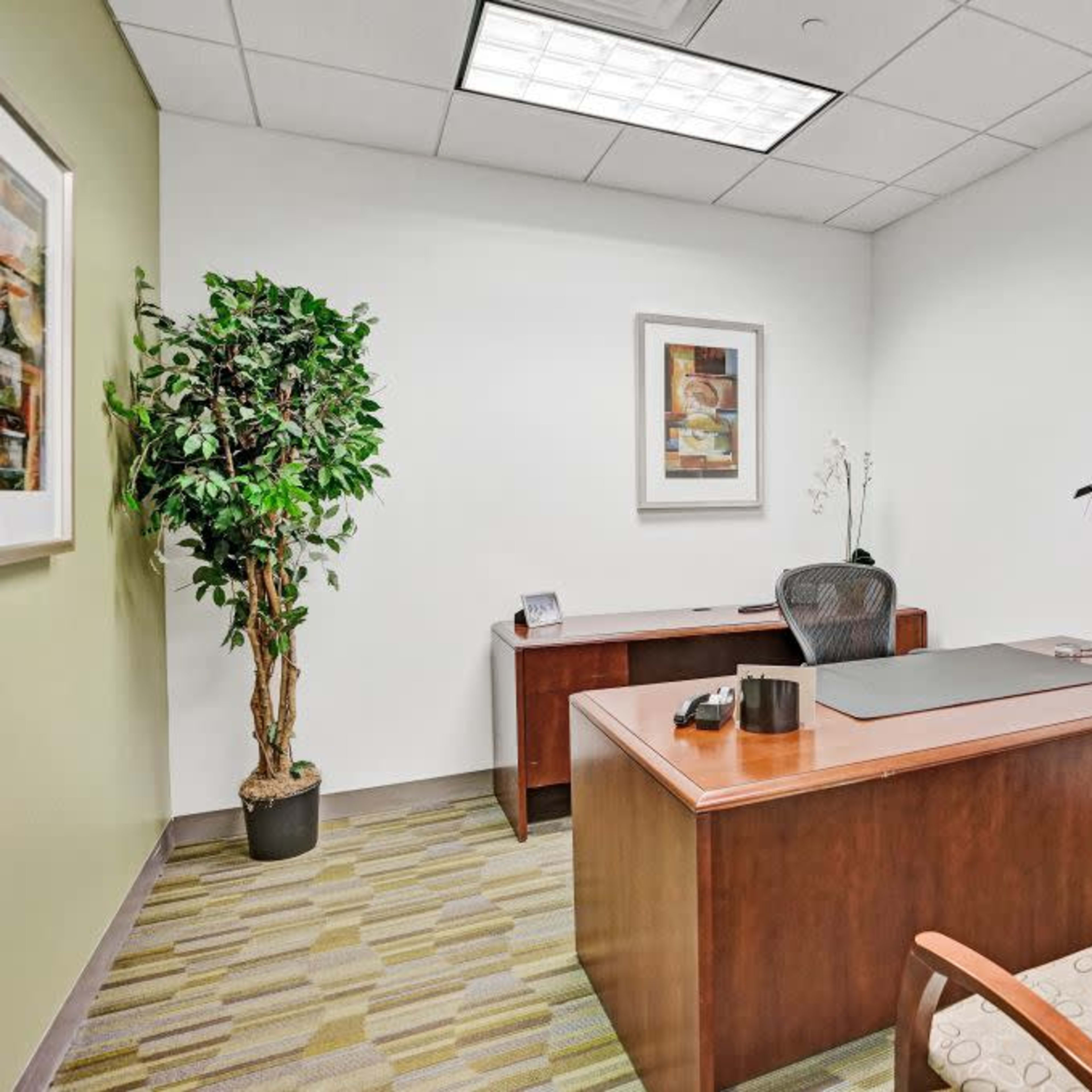 A small office with a wooden desk, a chair, and a potted plant in one corner.