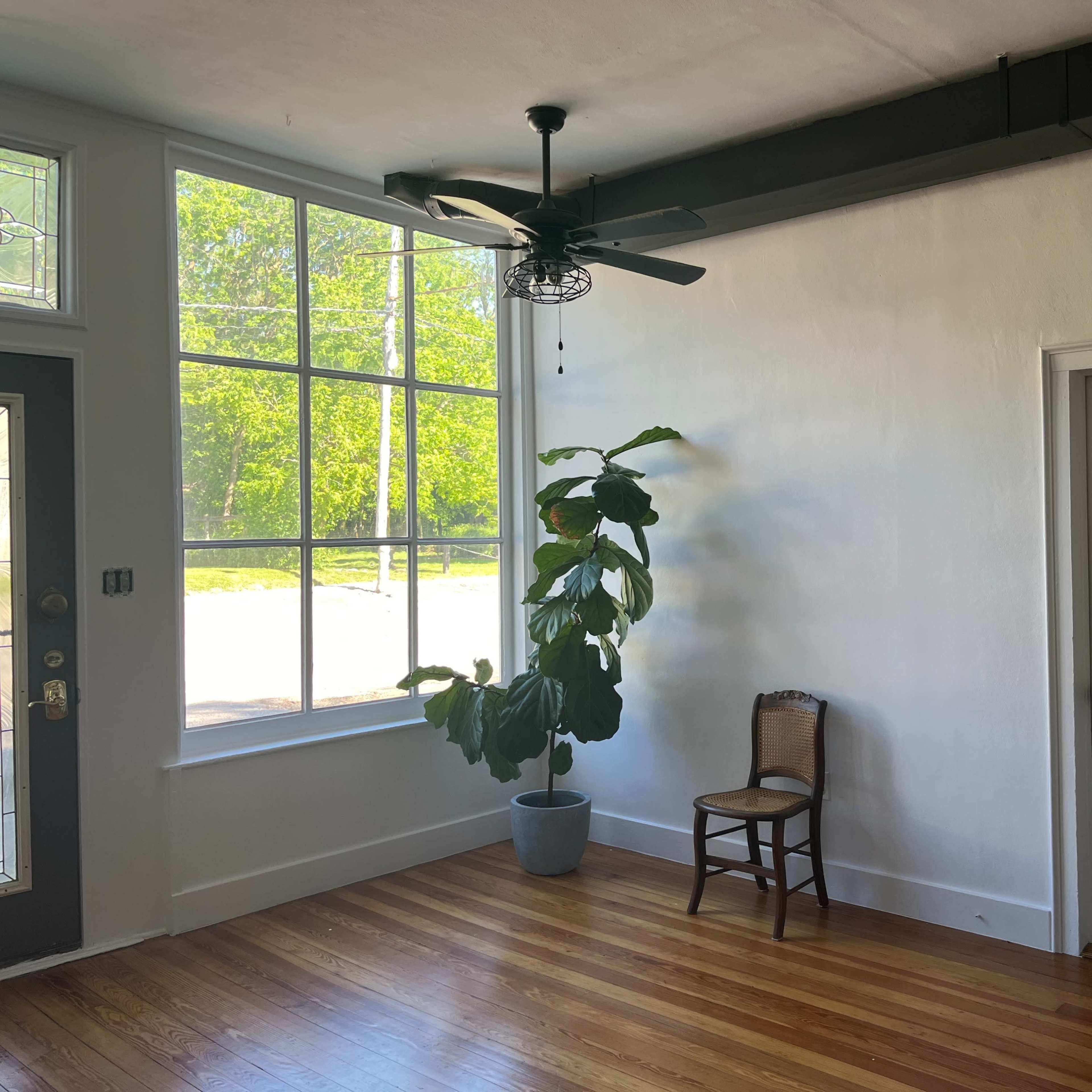 A bright room with a large window, a potted plant, a single wooden chair, and a closed door.