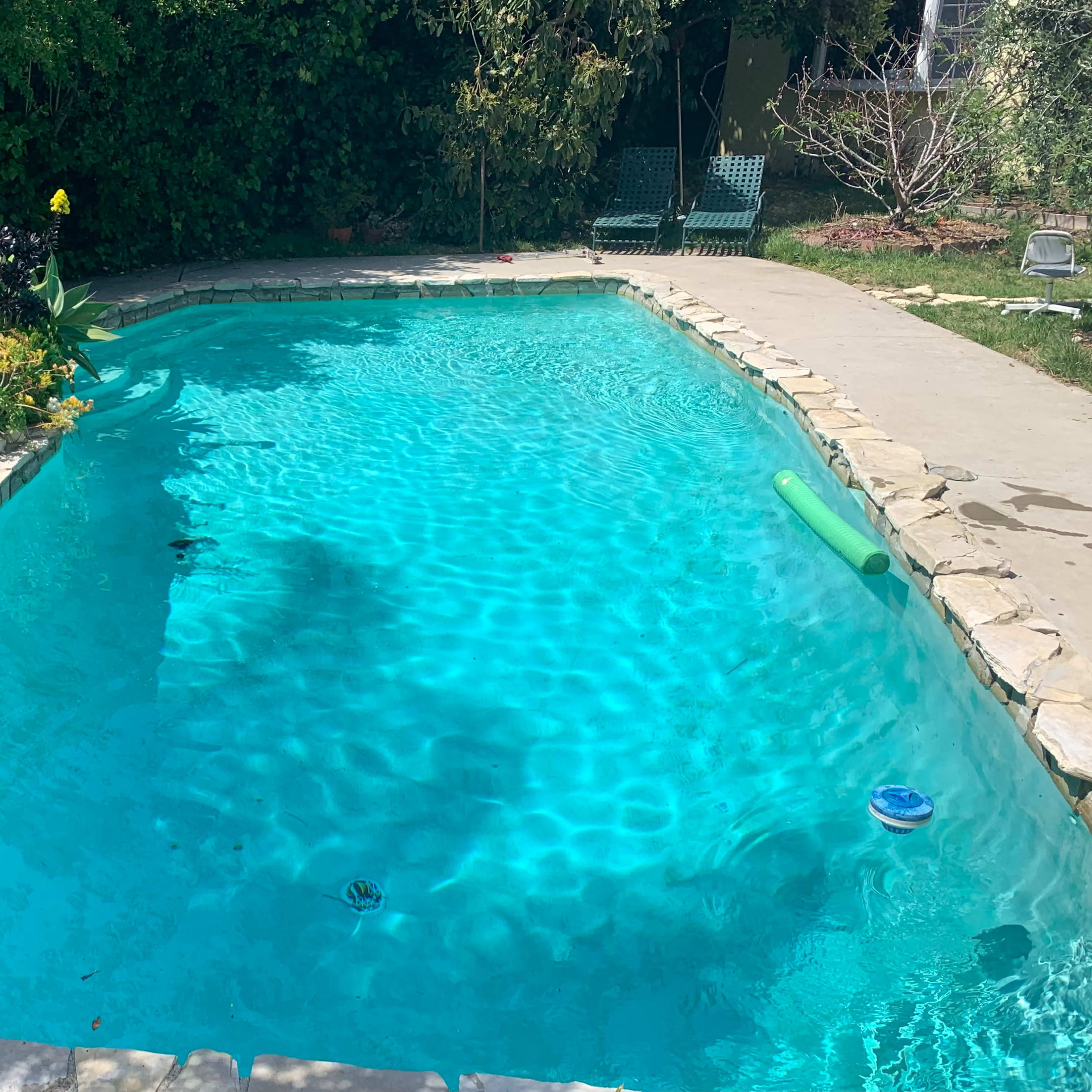 A clear swimming pool surrounded by a grassy area and landscaped gardens.
