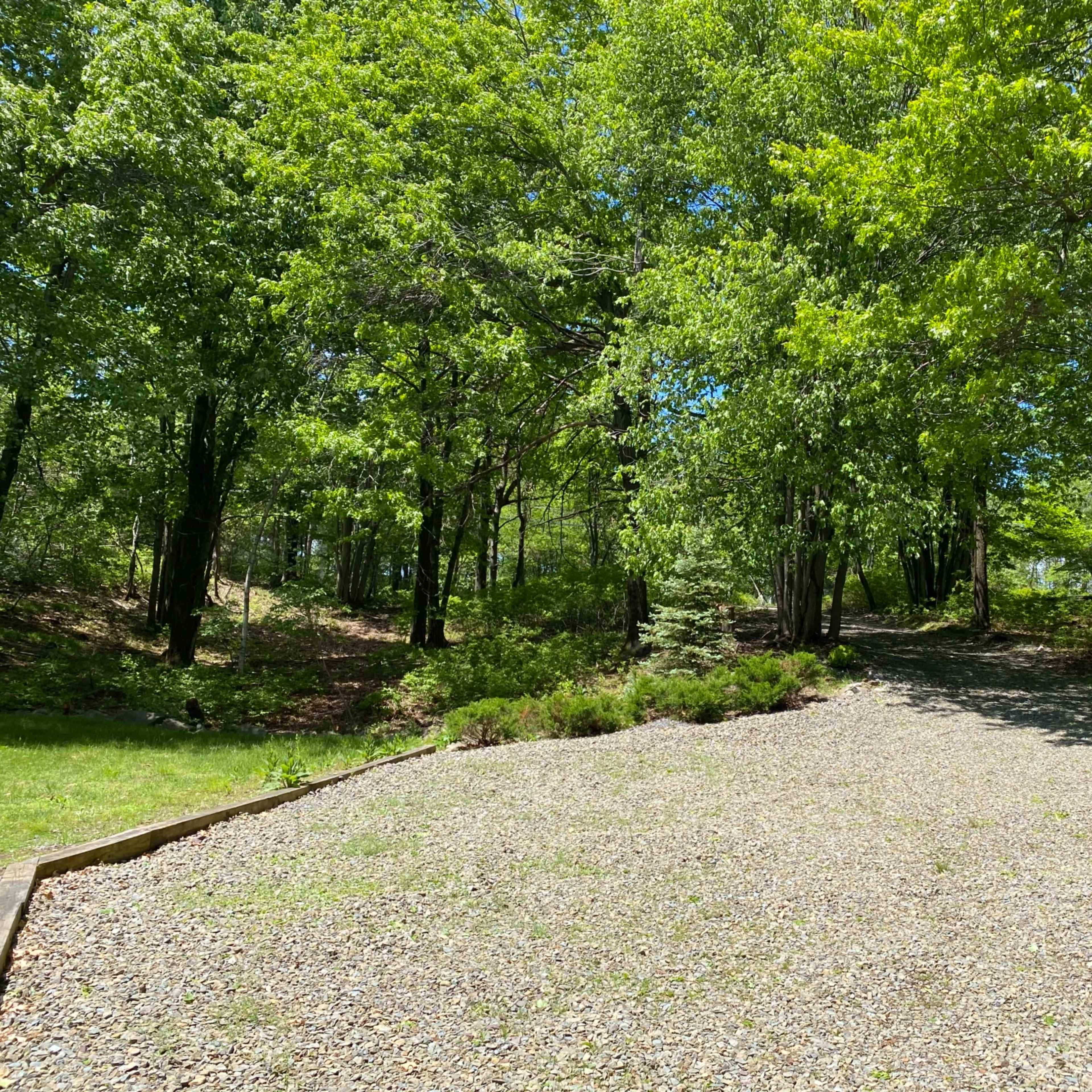 A gravel path winds through a densely wooded area with lush green trees.