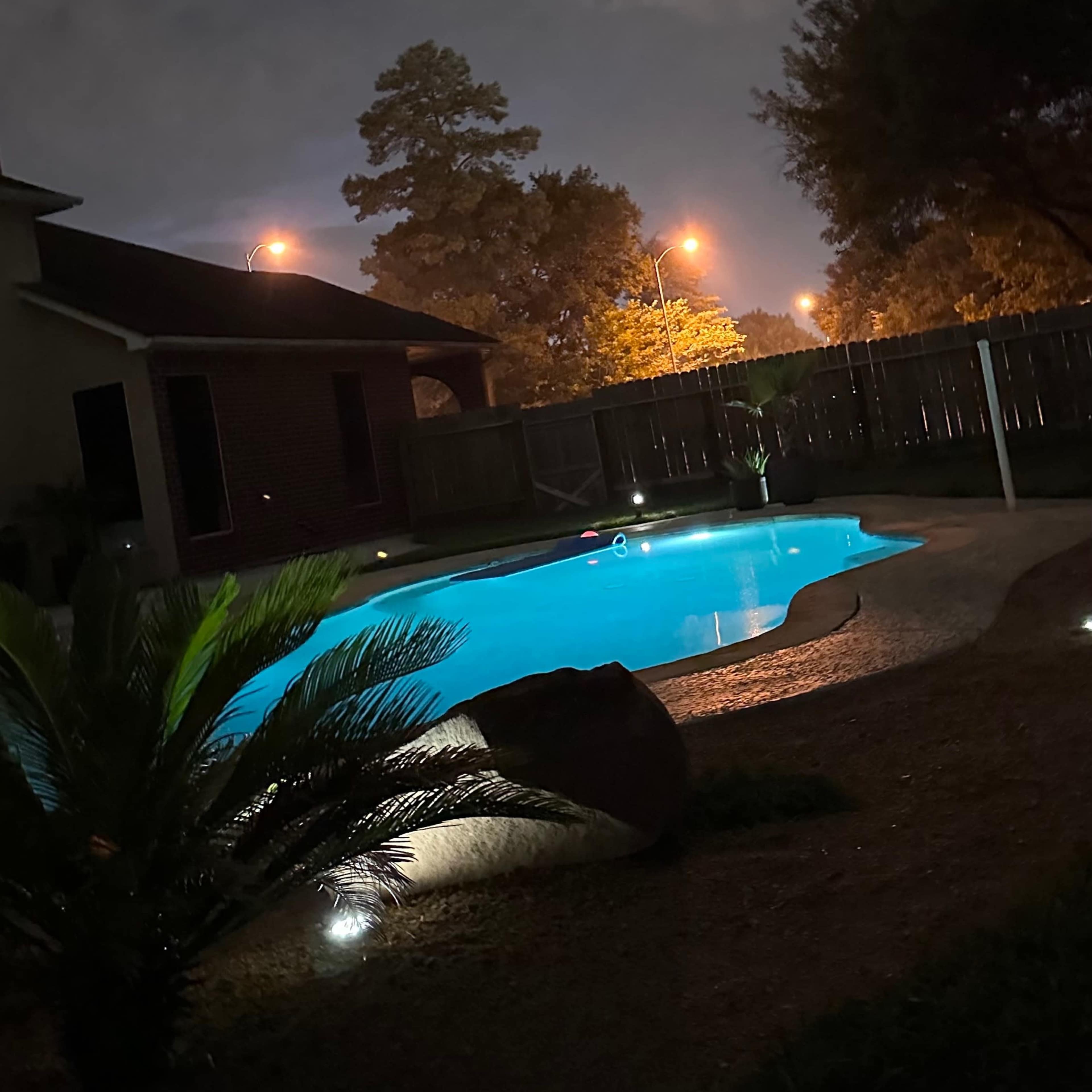 A blue-lit swimming pool is surrounded by palm plants and illuminated by nearby streetlights on a cloudy night.