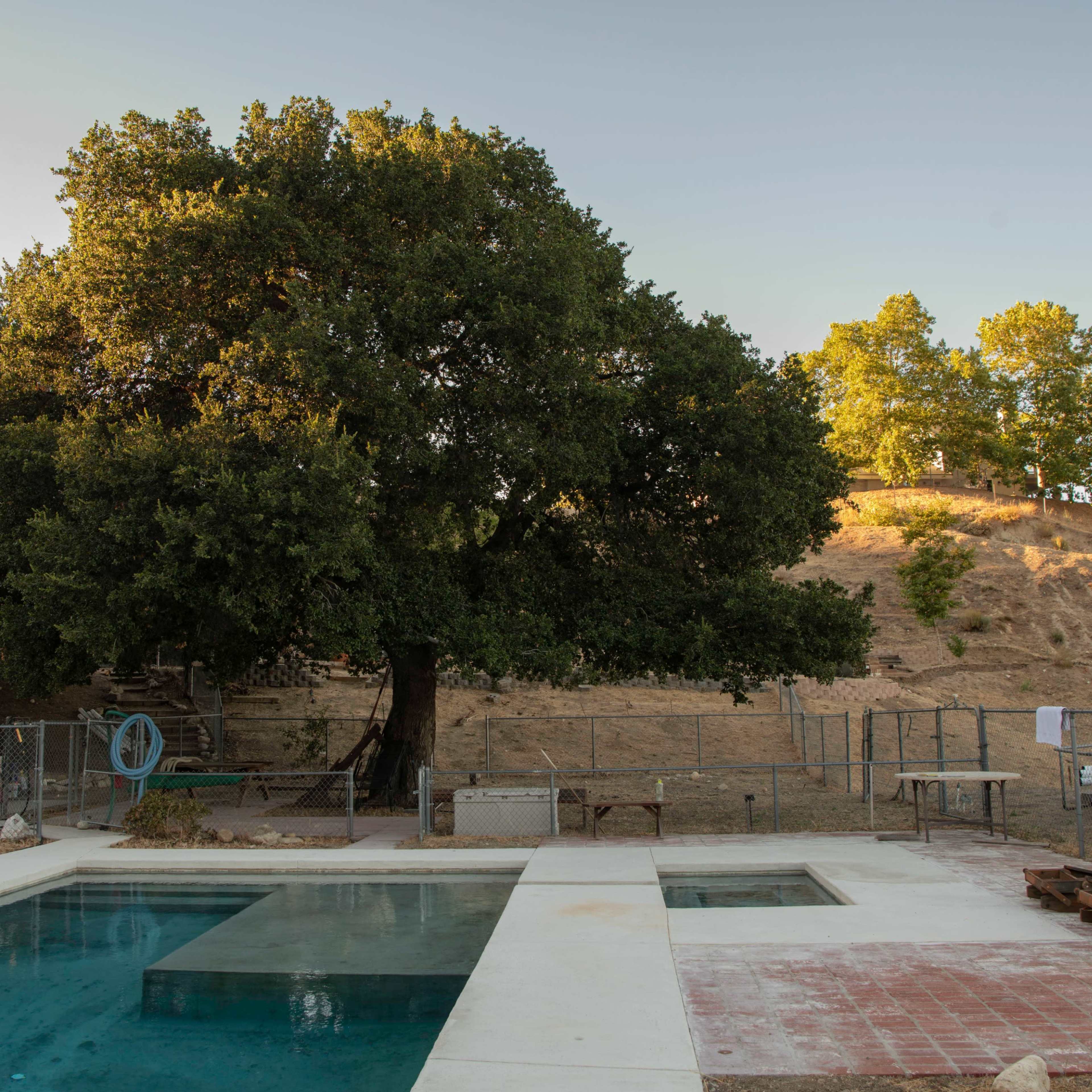 A swimming pool is situated in an enclosed area with a large tree and a hillside in the background.