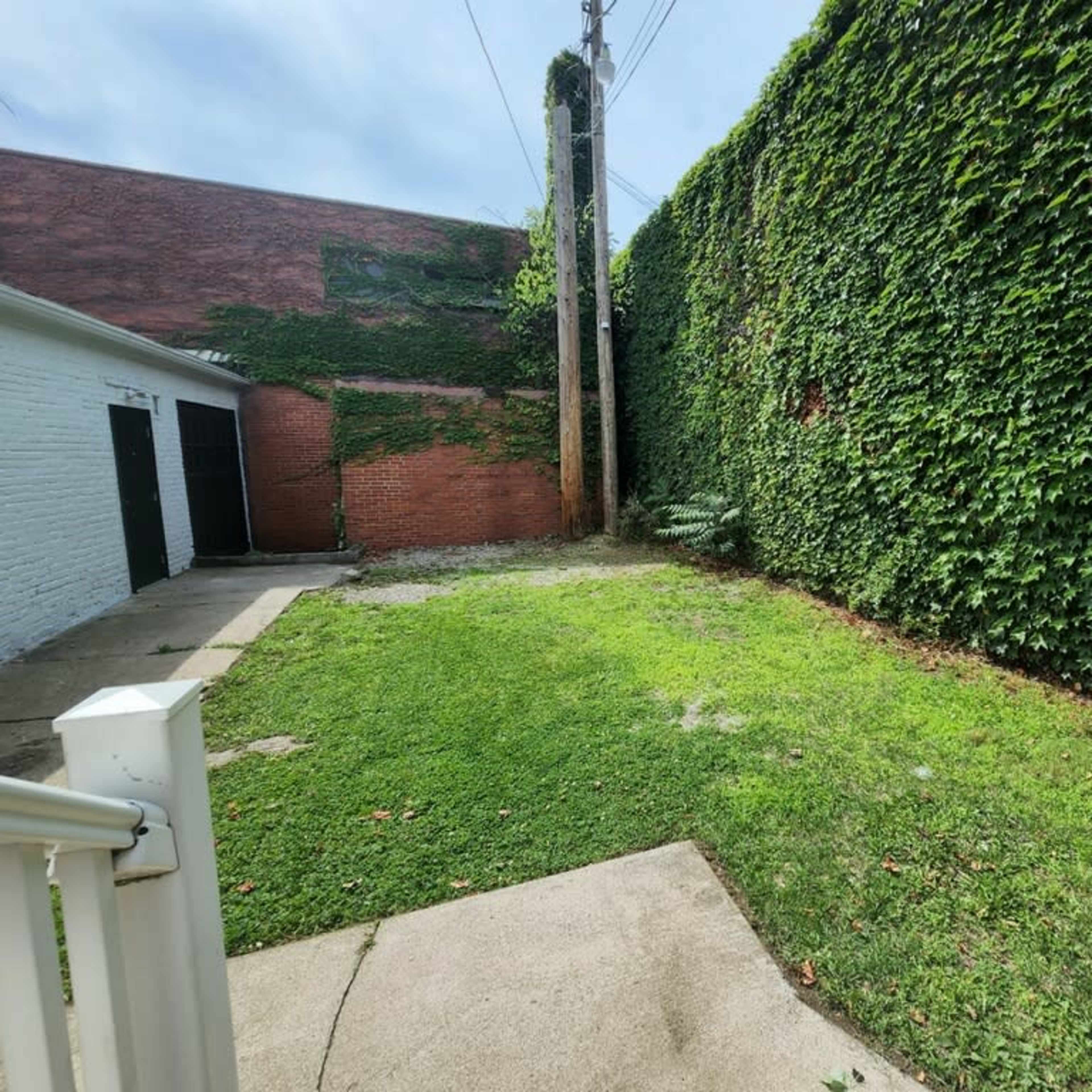 A small outdoor area with a grassy patch bordered by ivy-covered brick walls and a concrete pathway leading to a building.