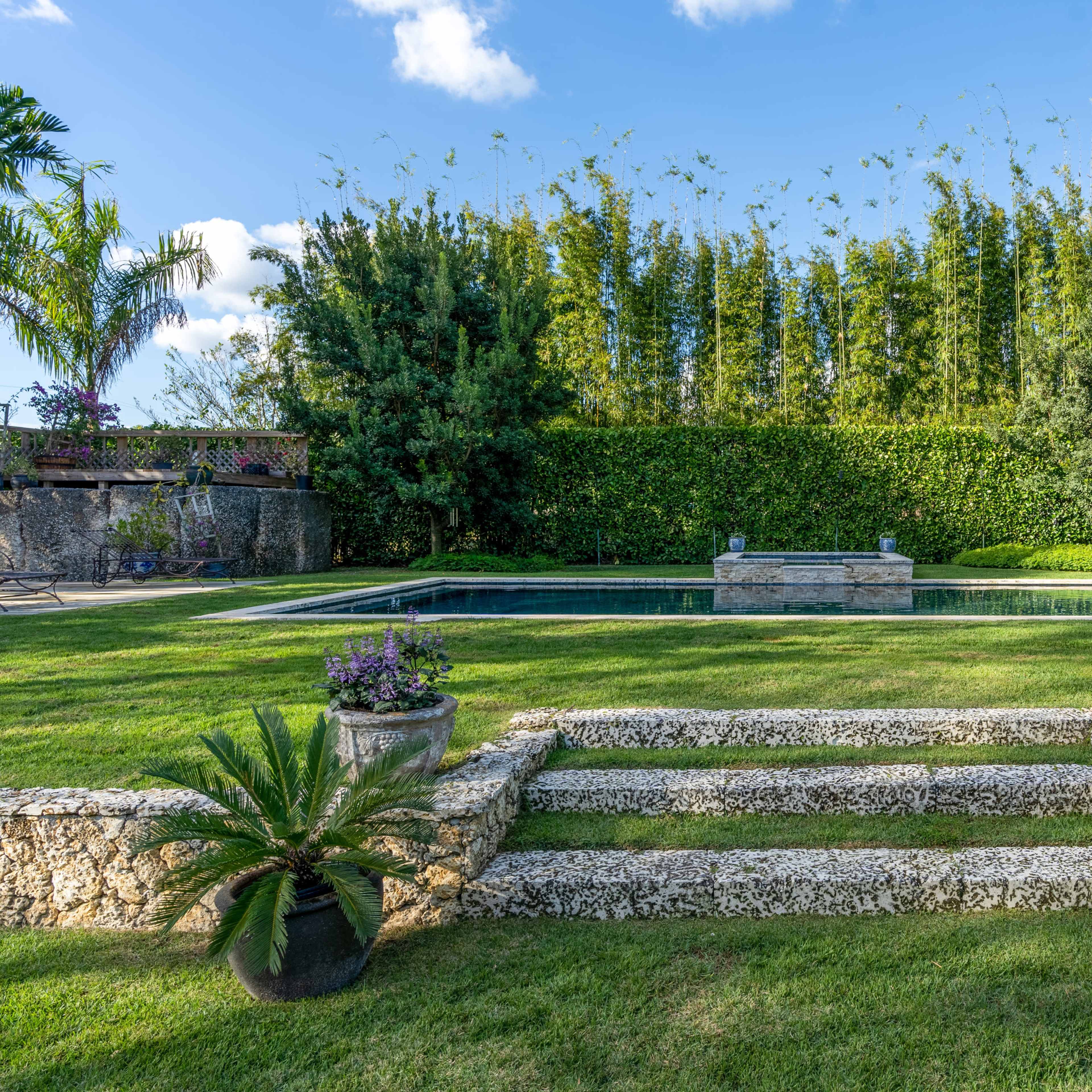 A landscaped backyard featuring a swimming pool, stone steps, and lush greenery with bamboo in the background.