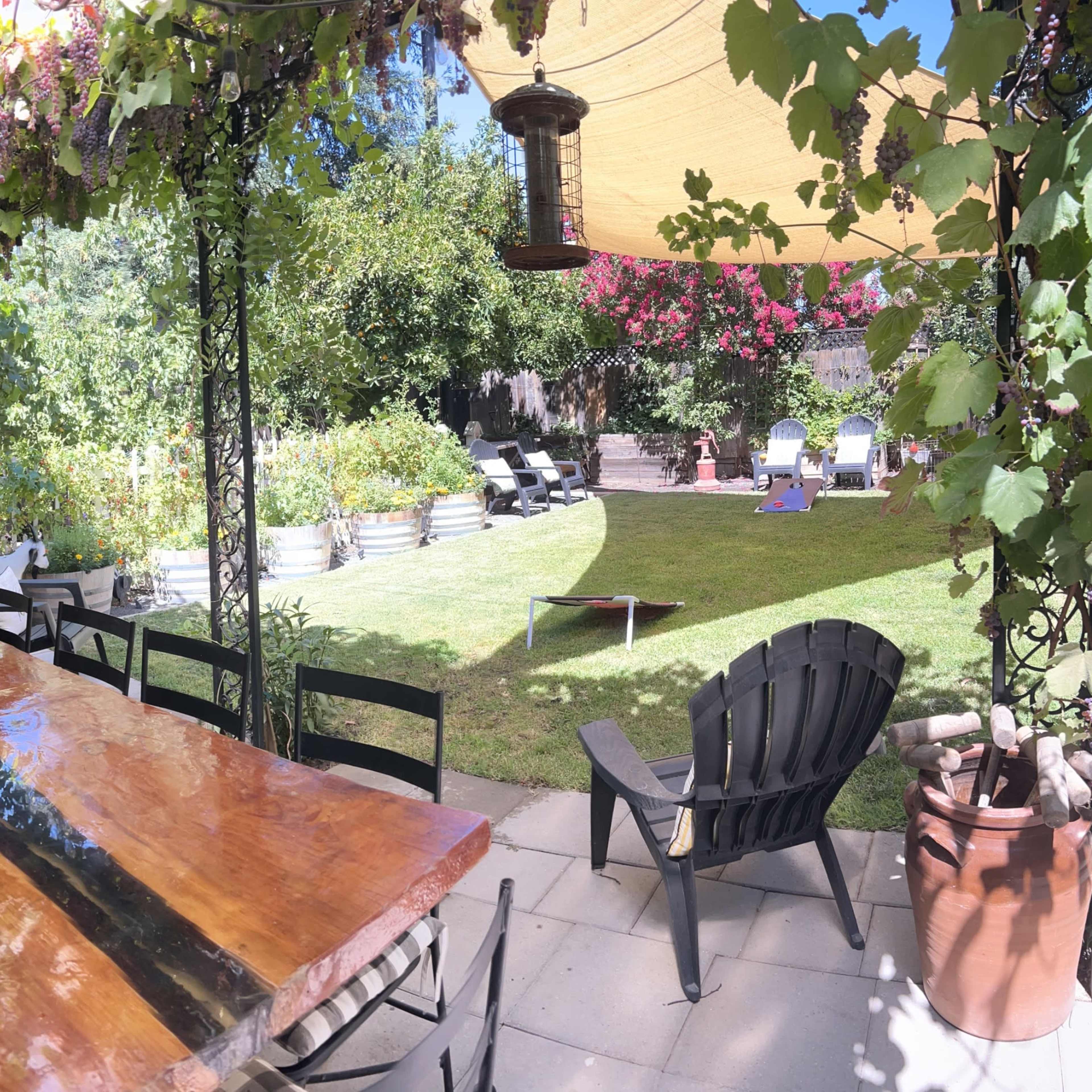 A long wooden dining table is set under a canopy of vines and hanging lanterns, surrounded by a well-maintained garden with metal planters and lounge chairs.