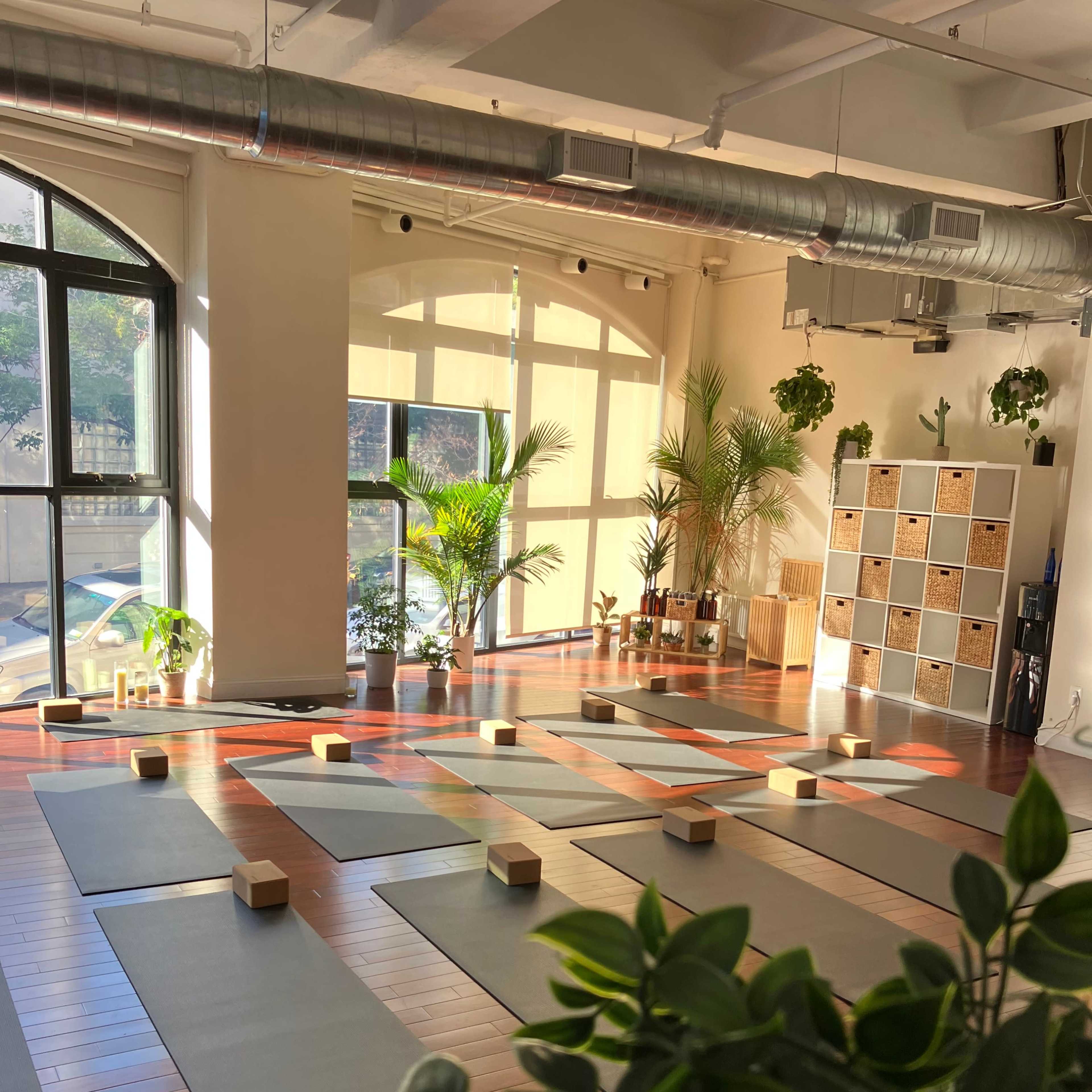 A yoga studio with several mats arranged on a wooden floor, lit by sunlight streaming through large windows.