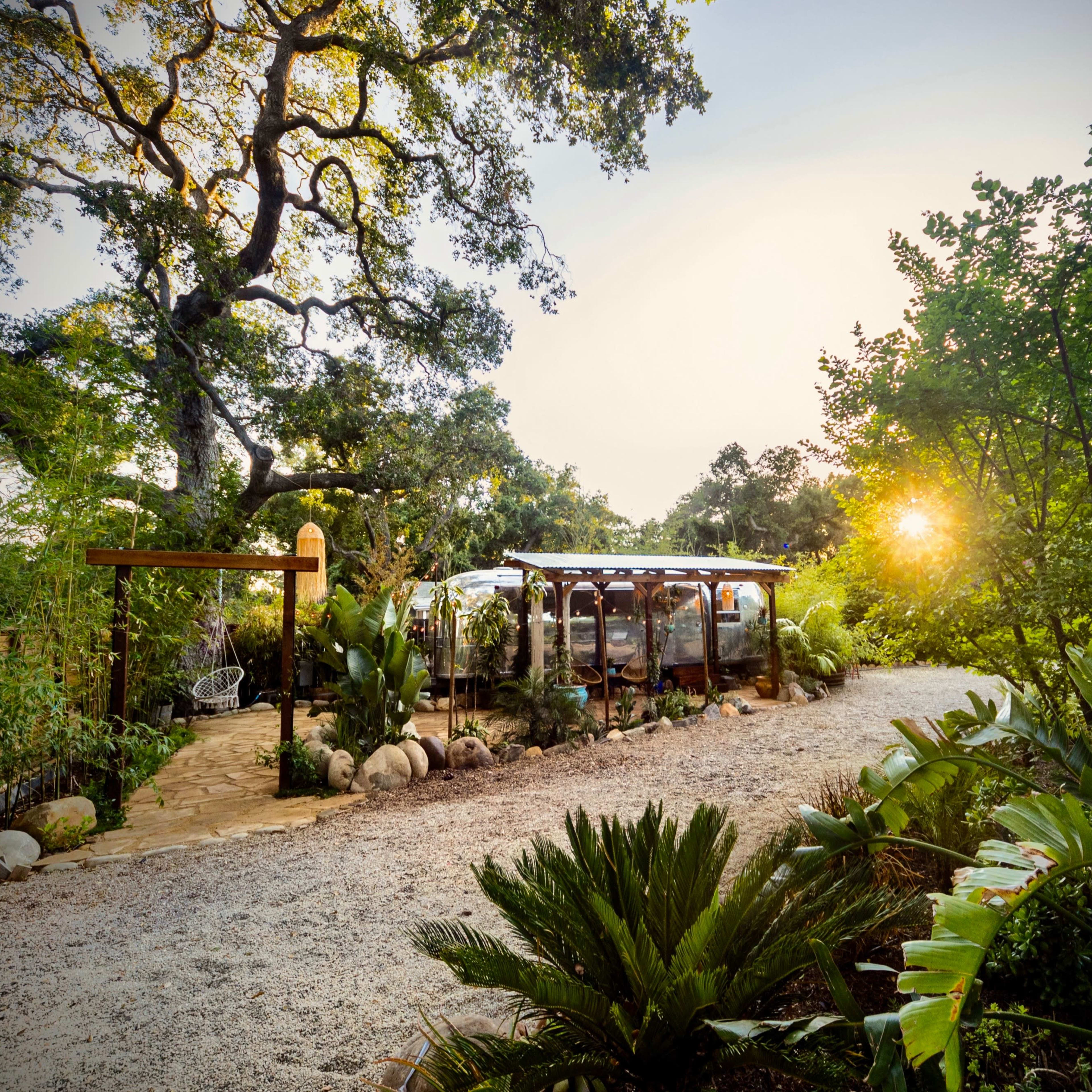 A modern, glass-roofed structure is set among lush greenery and large trees, with a gravel path leading to it.
