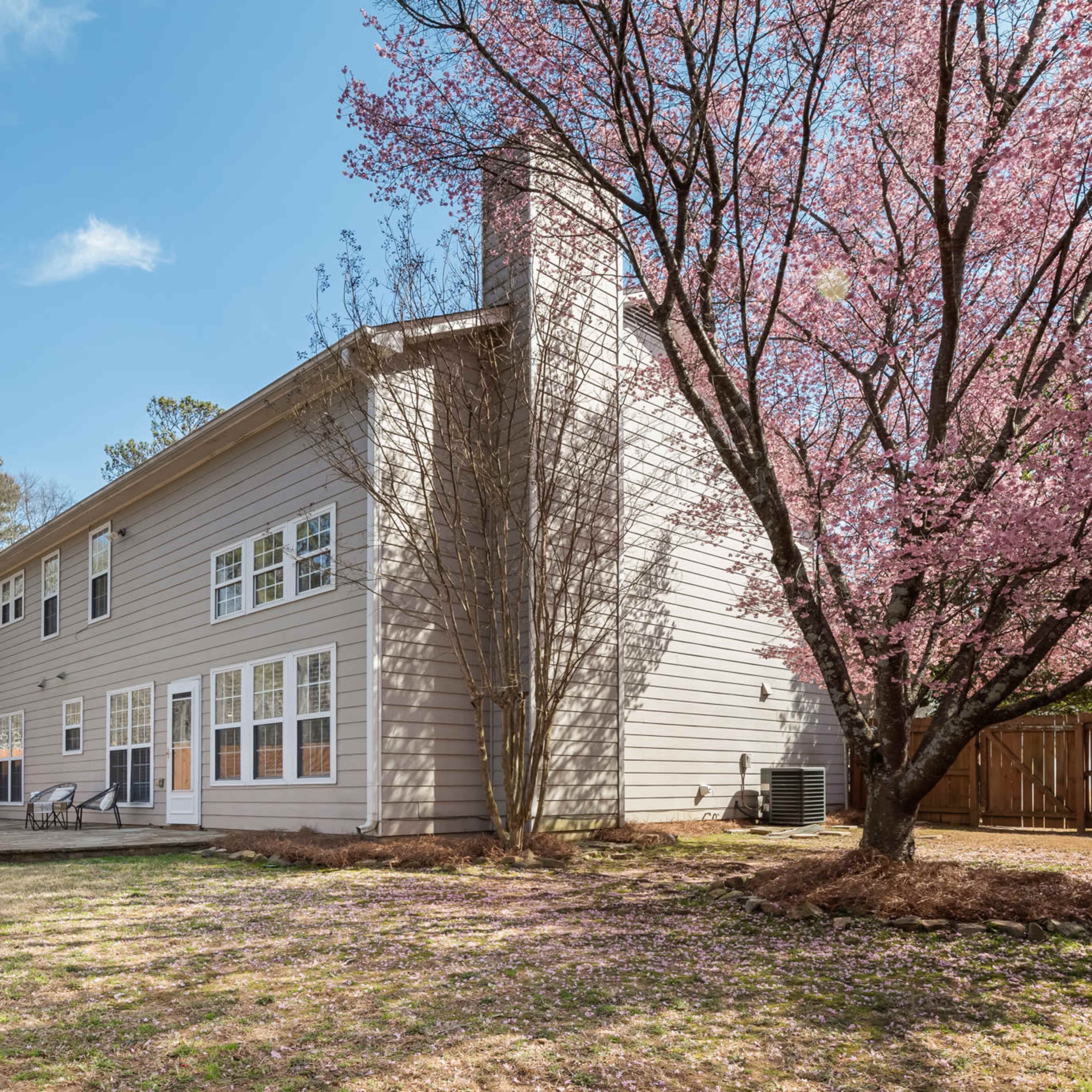 A two-story house with a light-colored exterior stands next to a blooming pink flowering tree in a backyard.