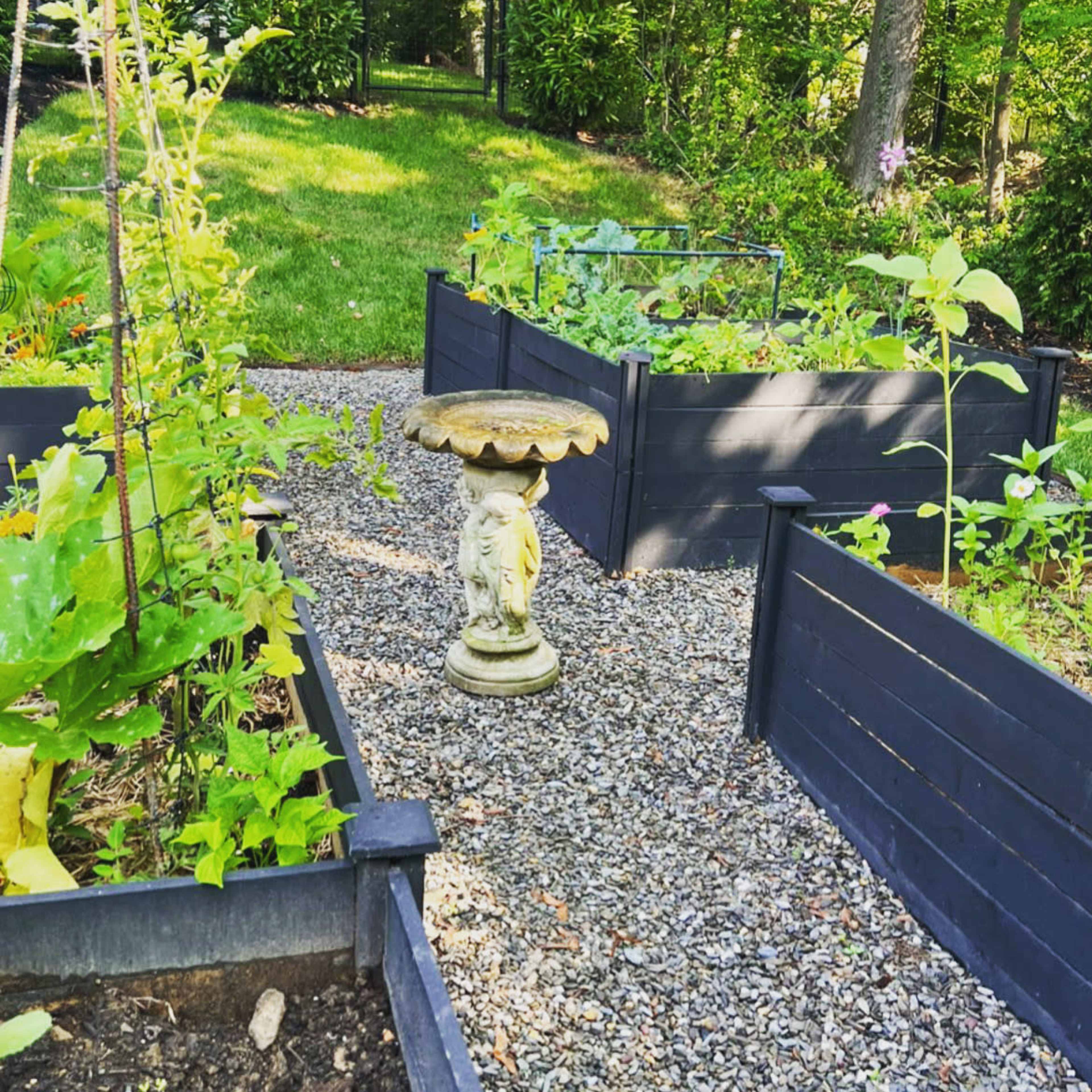 A landscaped garden with raised black wooden planter boxes filled with various plants, connected by a gravel path leading to a stone birdbath.