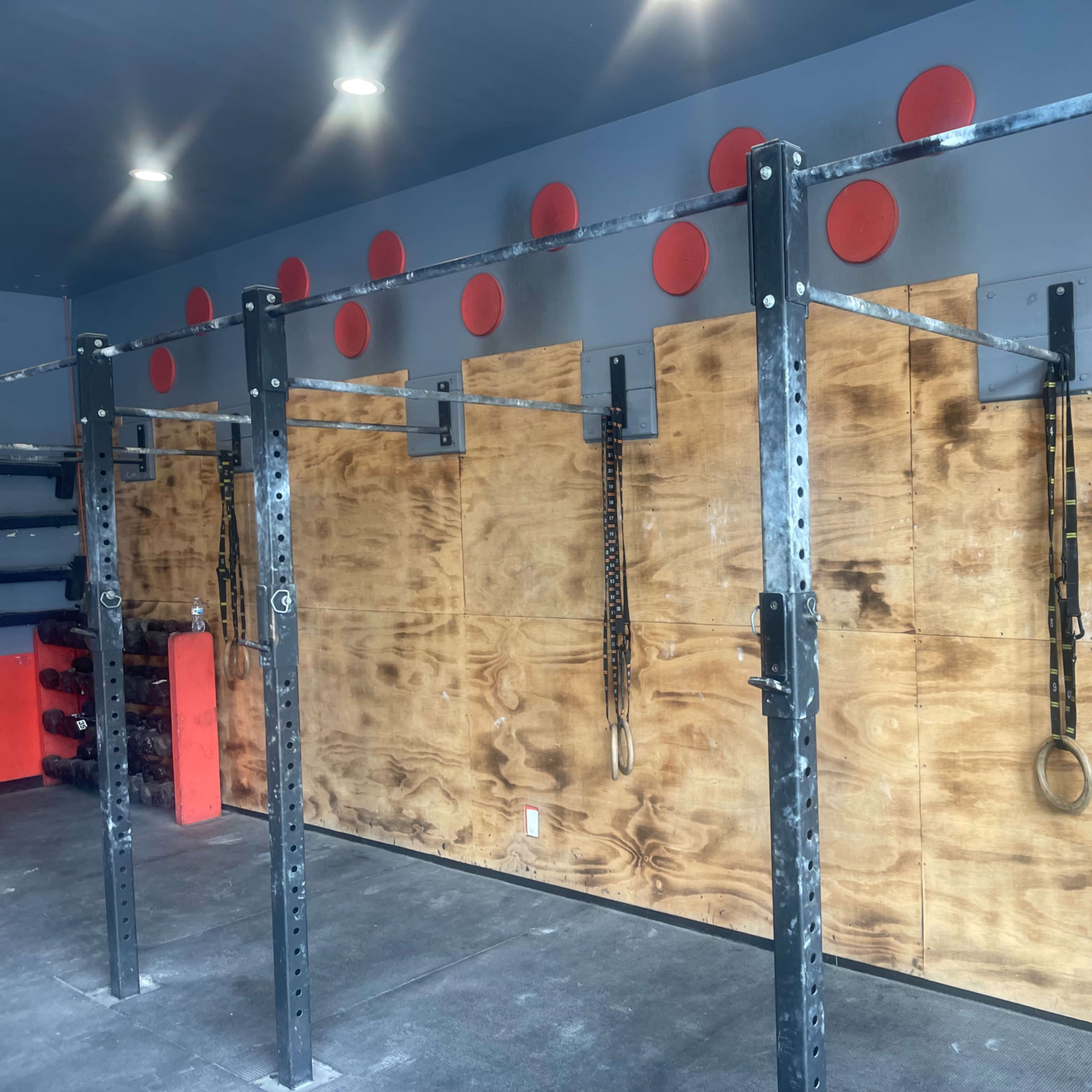 A gym with a wall mounted with hooks for exercise equipment, including rings and chains, beside rows of free weights.