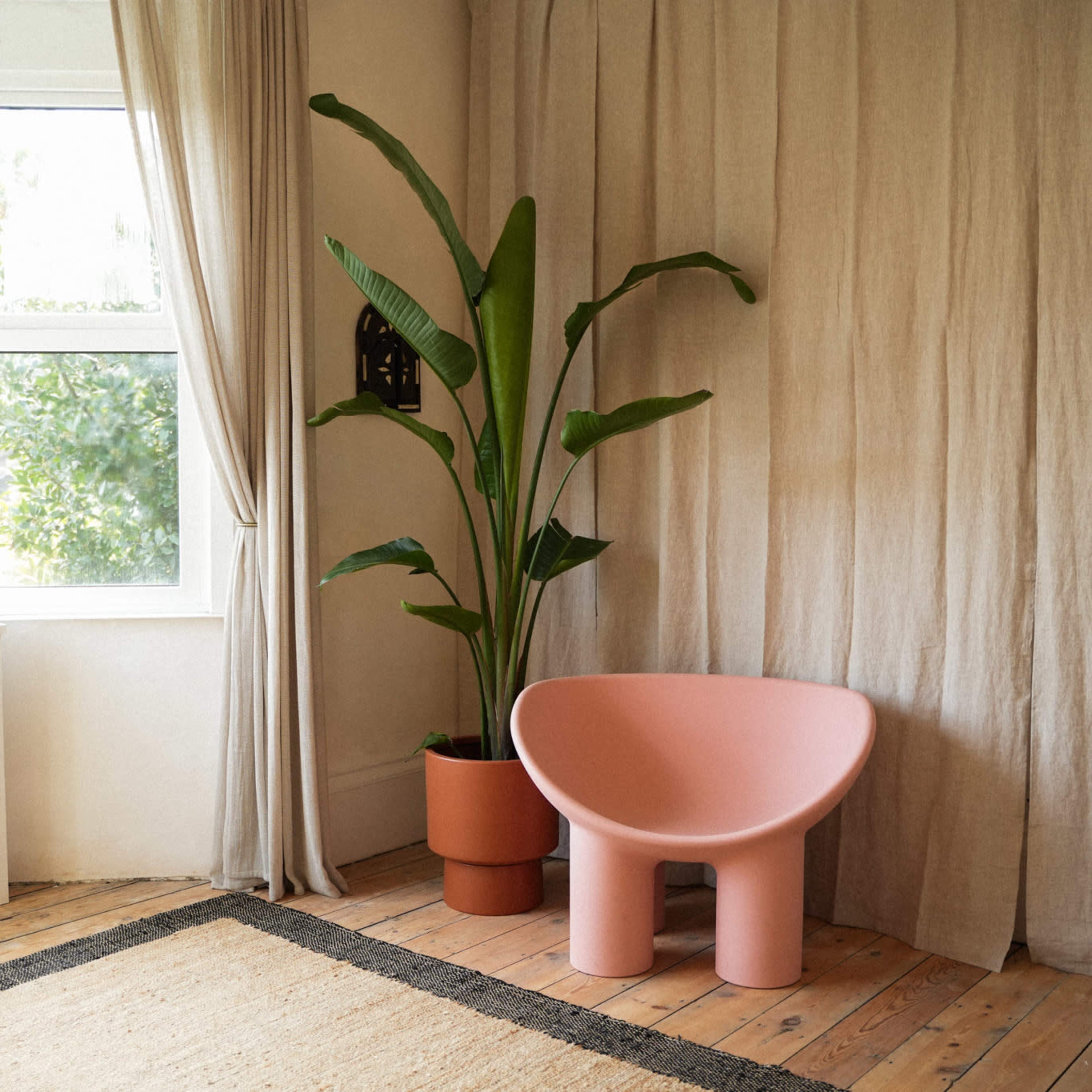The Blank Space (Neutral Backdrop Set) Image in Hove, Hove, England