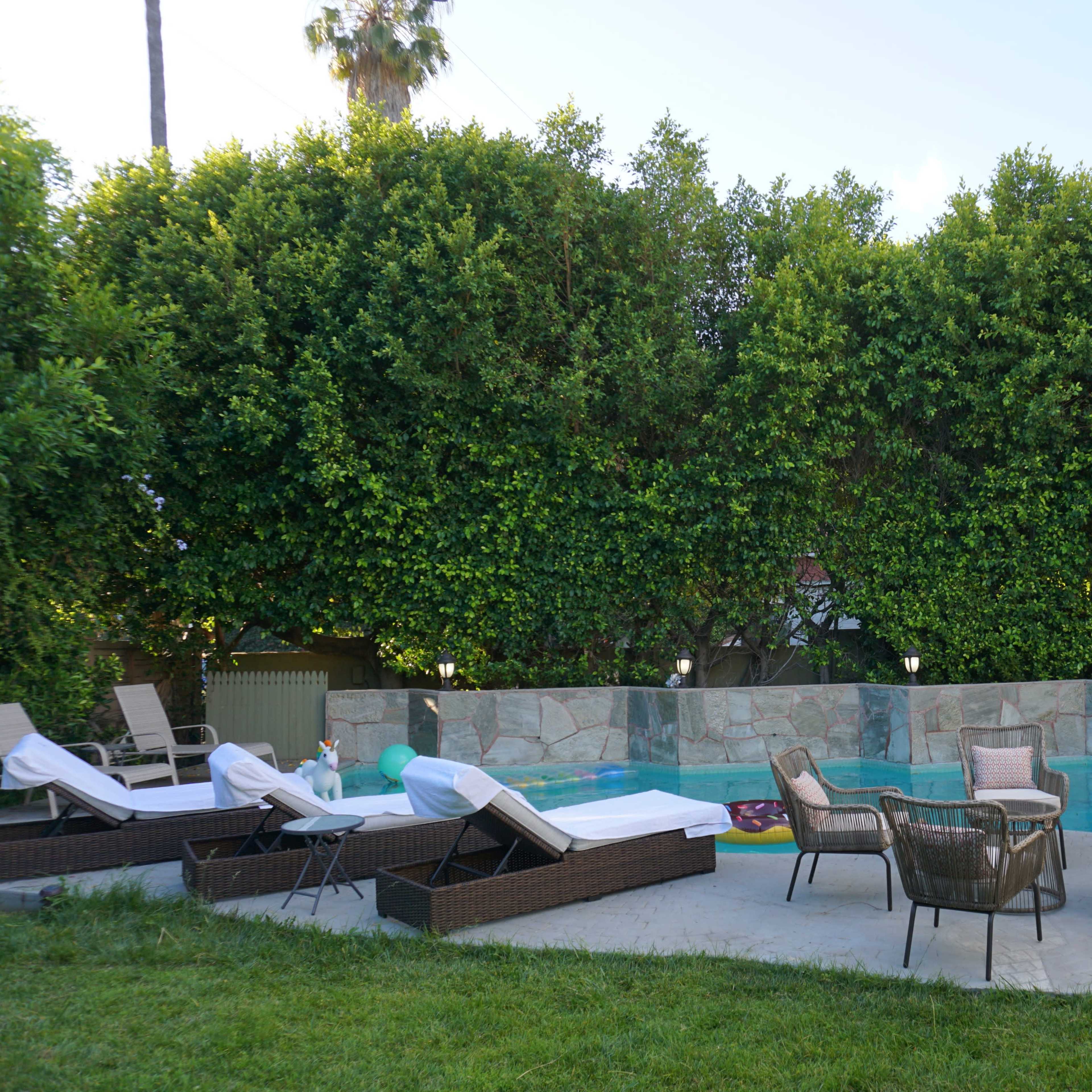 The scene features a backyard with a swimming pool surrounded by lounge chairs and a lush green hedge.