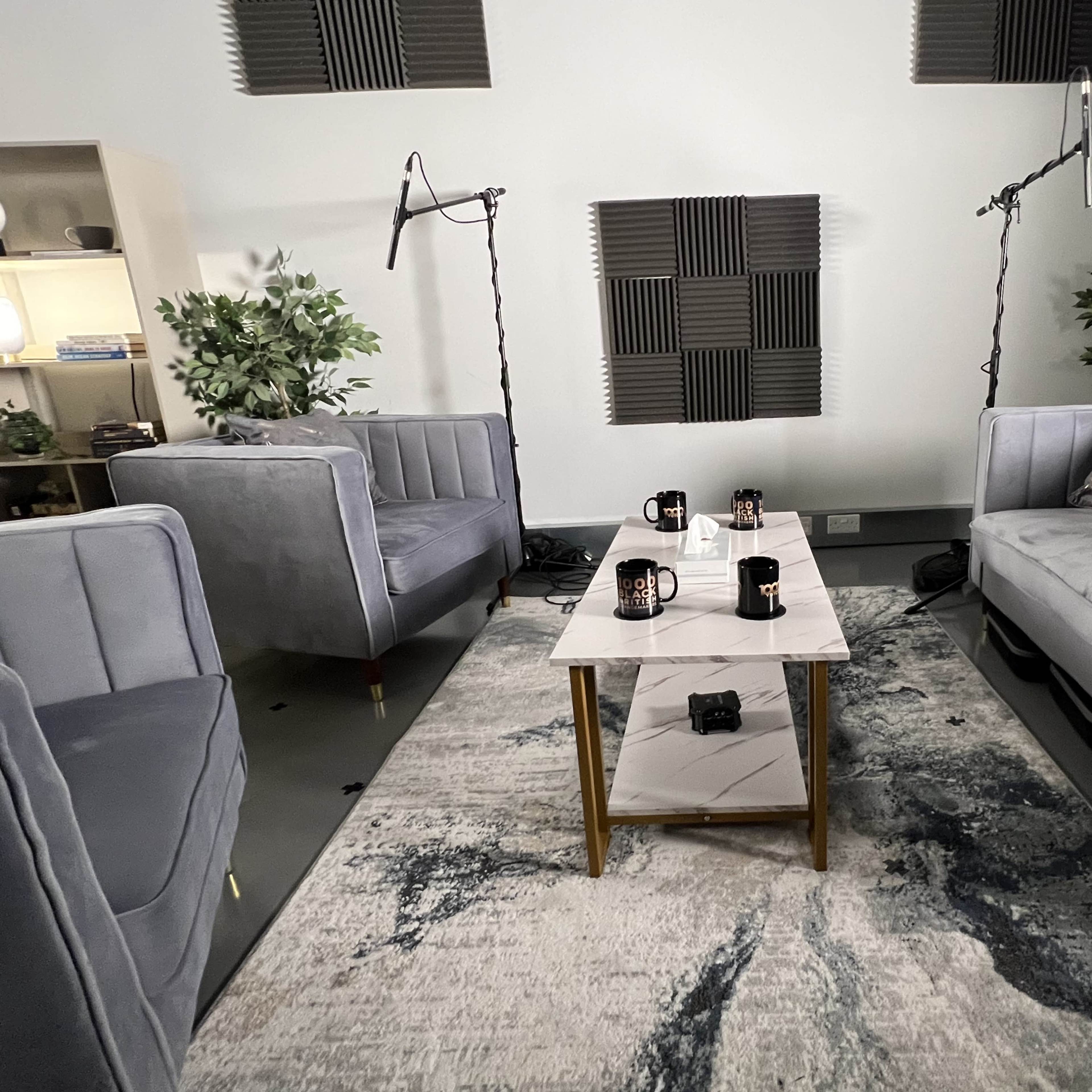 A minimalist seating area with two gray sofas, a marble coffee table, and several mugs arranged on the table, set against a backdrop of soundproofing panels and potted plants.