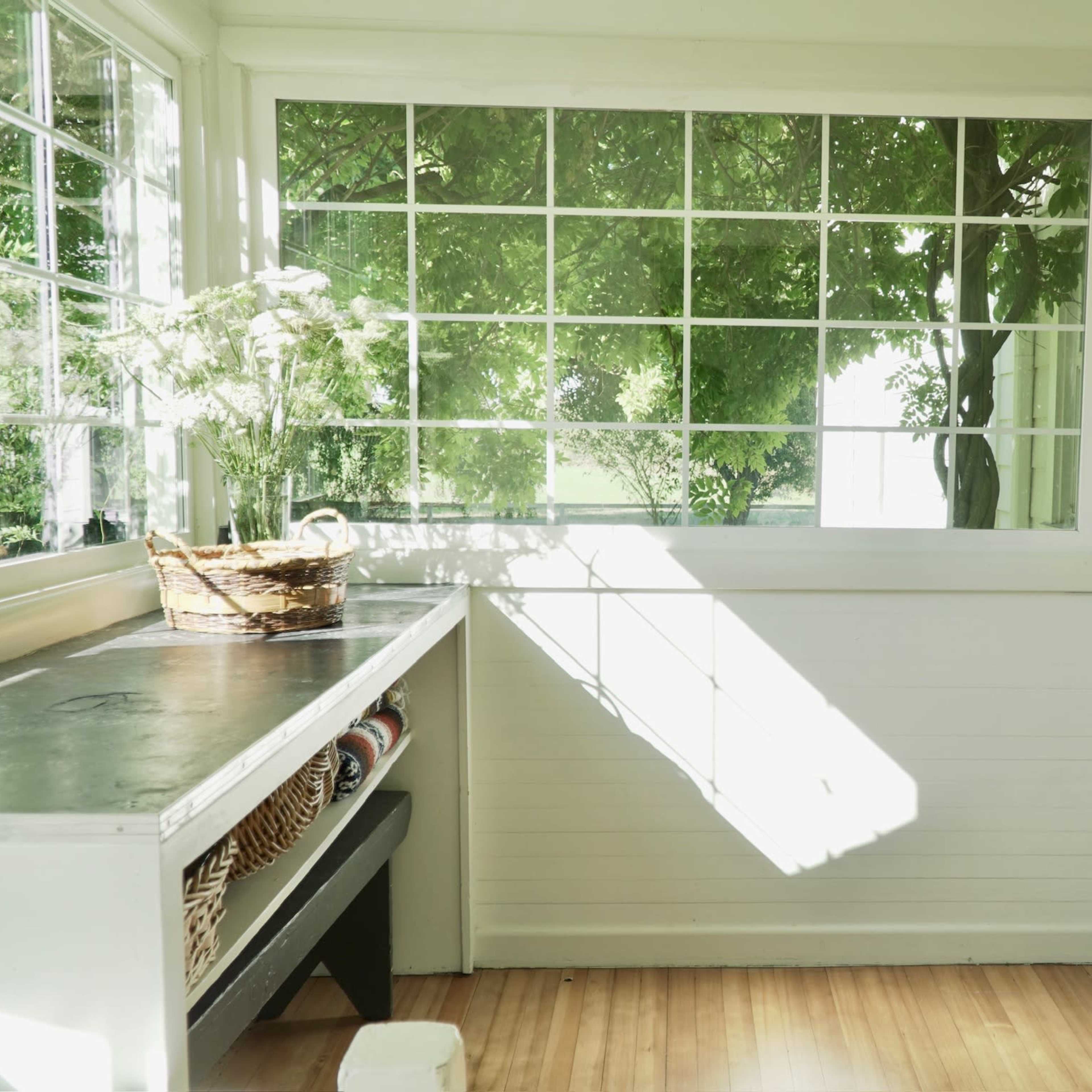 A bright, airy room featuring large windows, a wooden table, and a basket of plants near a sunlit wall.