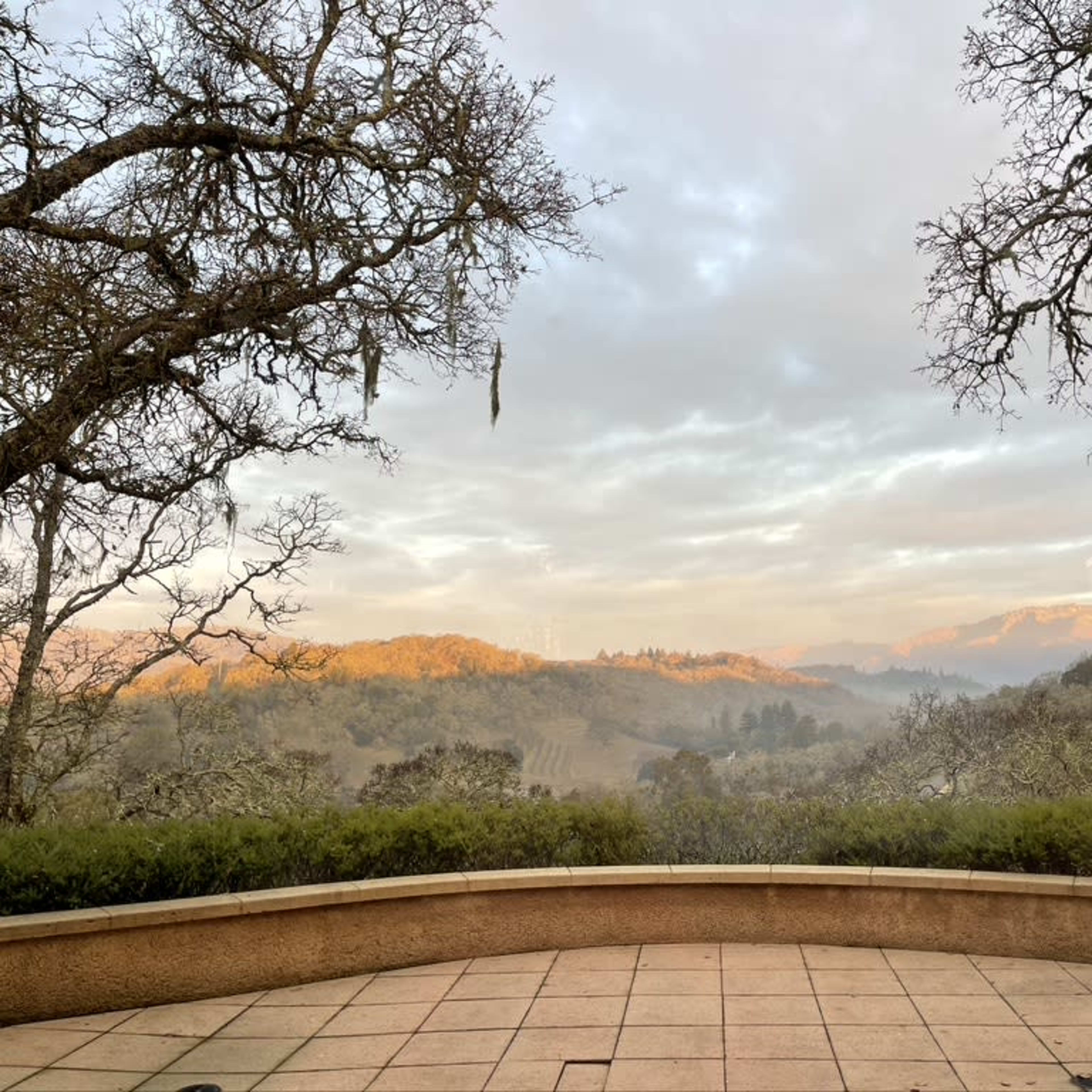 A view of rolling hills in the distance, framed by bare trees and a stone patio in the foreground under a cloudy sky.
