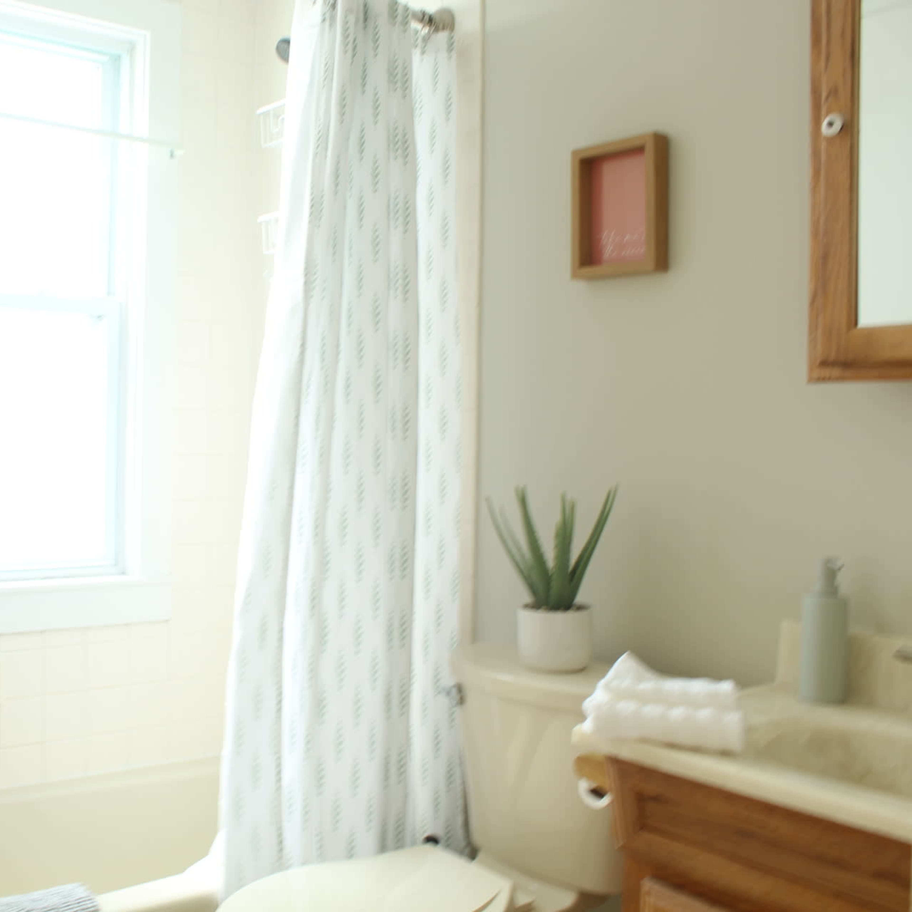 A small bathroom featuring a bathtub, a shower curtain, a window, a plant on the countertop, and neatly arranged towels.