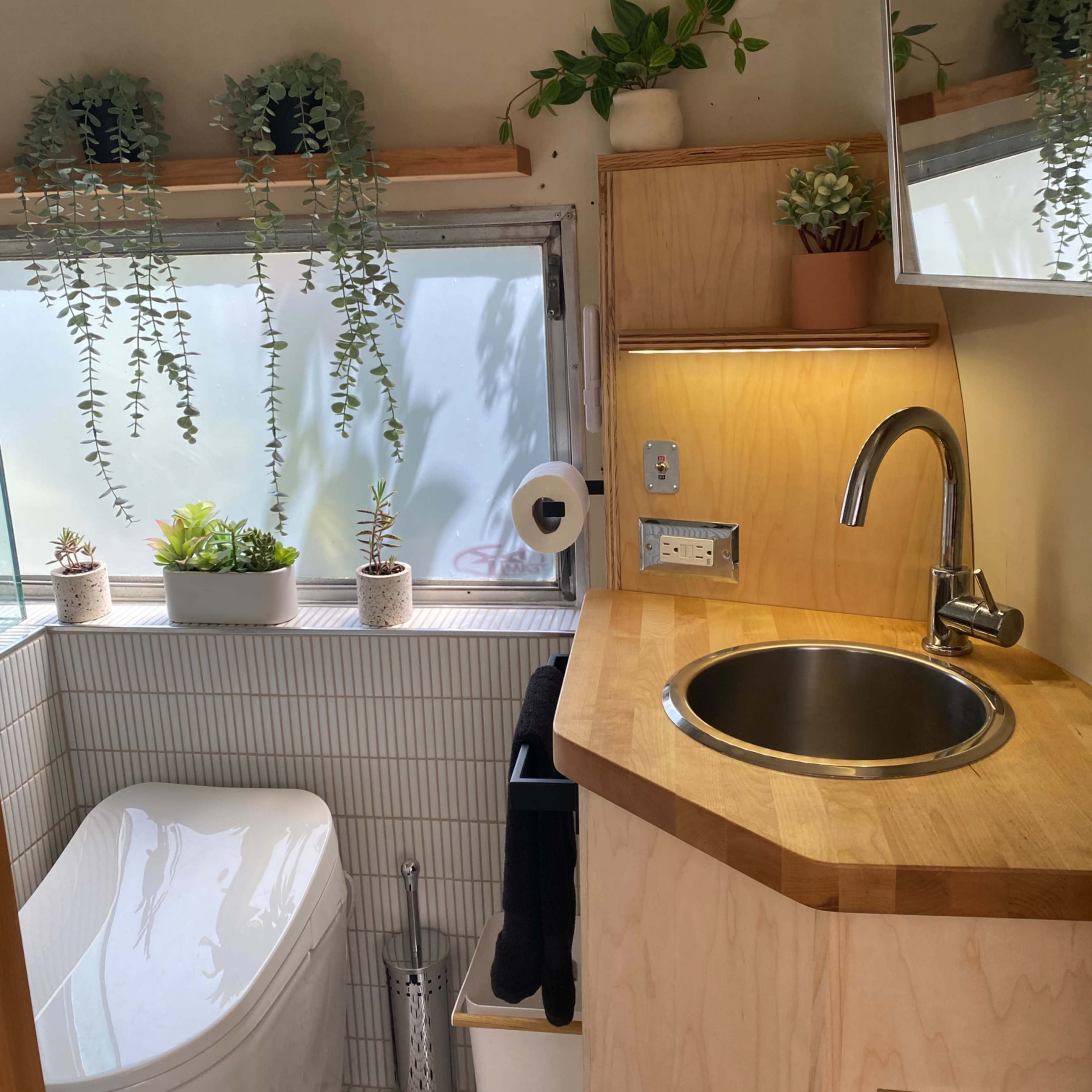 A small bathroom features a wooden countertop with a sink, a mirrored cabinet, plants on shelves, and a toilet beside a window.