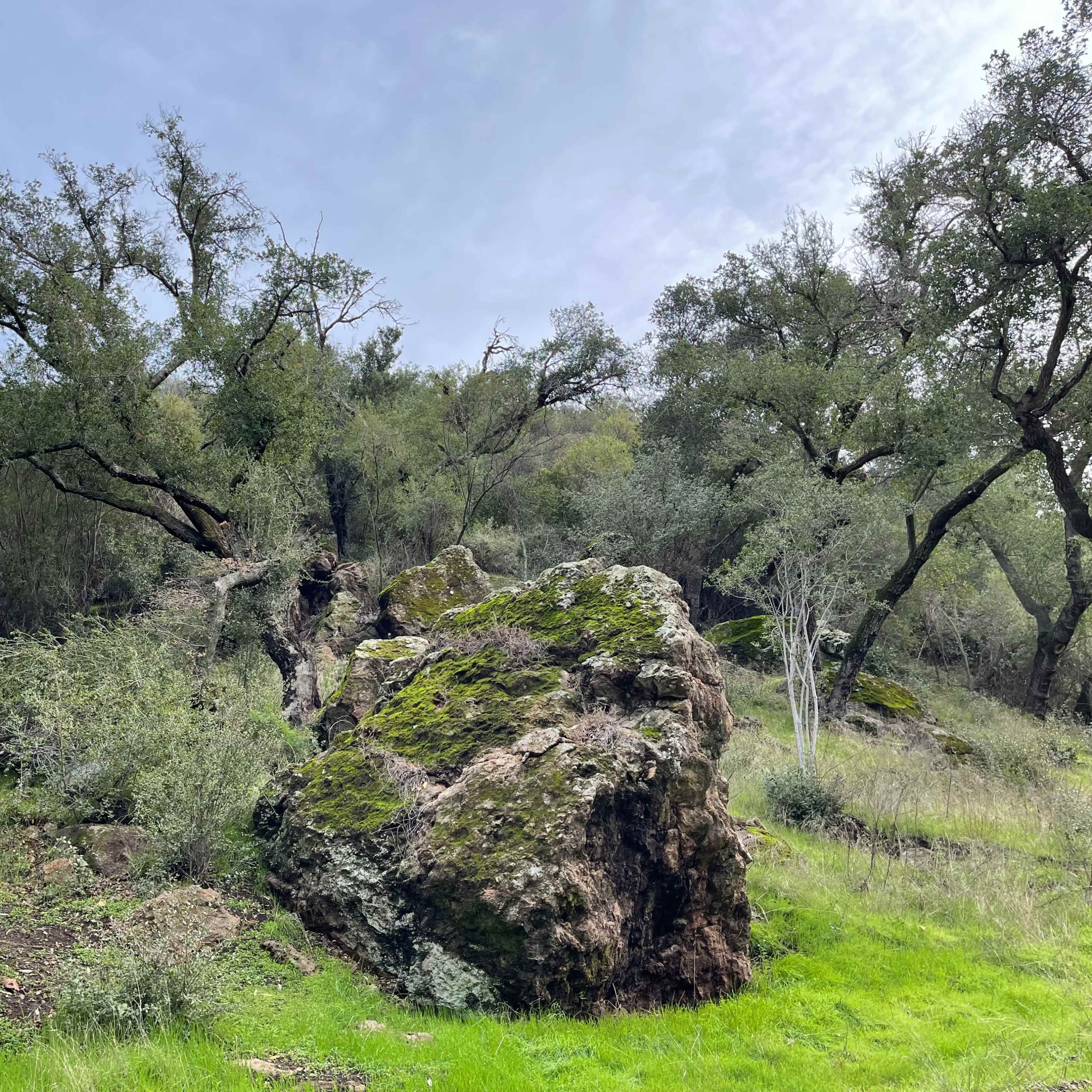 A rocky area surrounded by green foliage and trees under a cloudy sky.