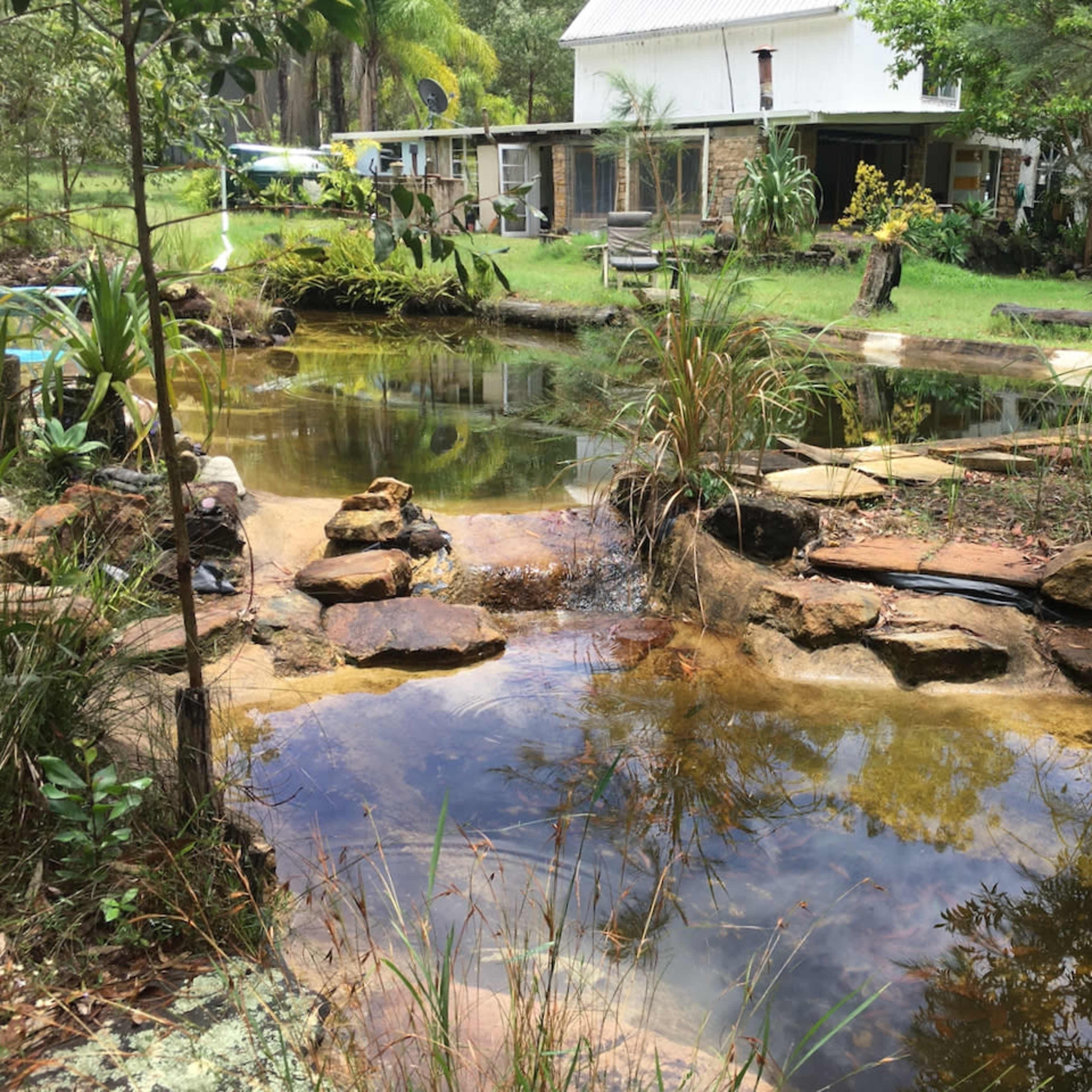 A tranquil garden features a pond with rocky edges and surrounding greenery, with a white building visible in the background.