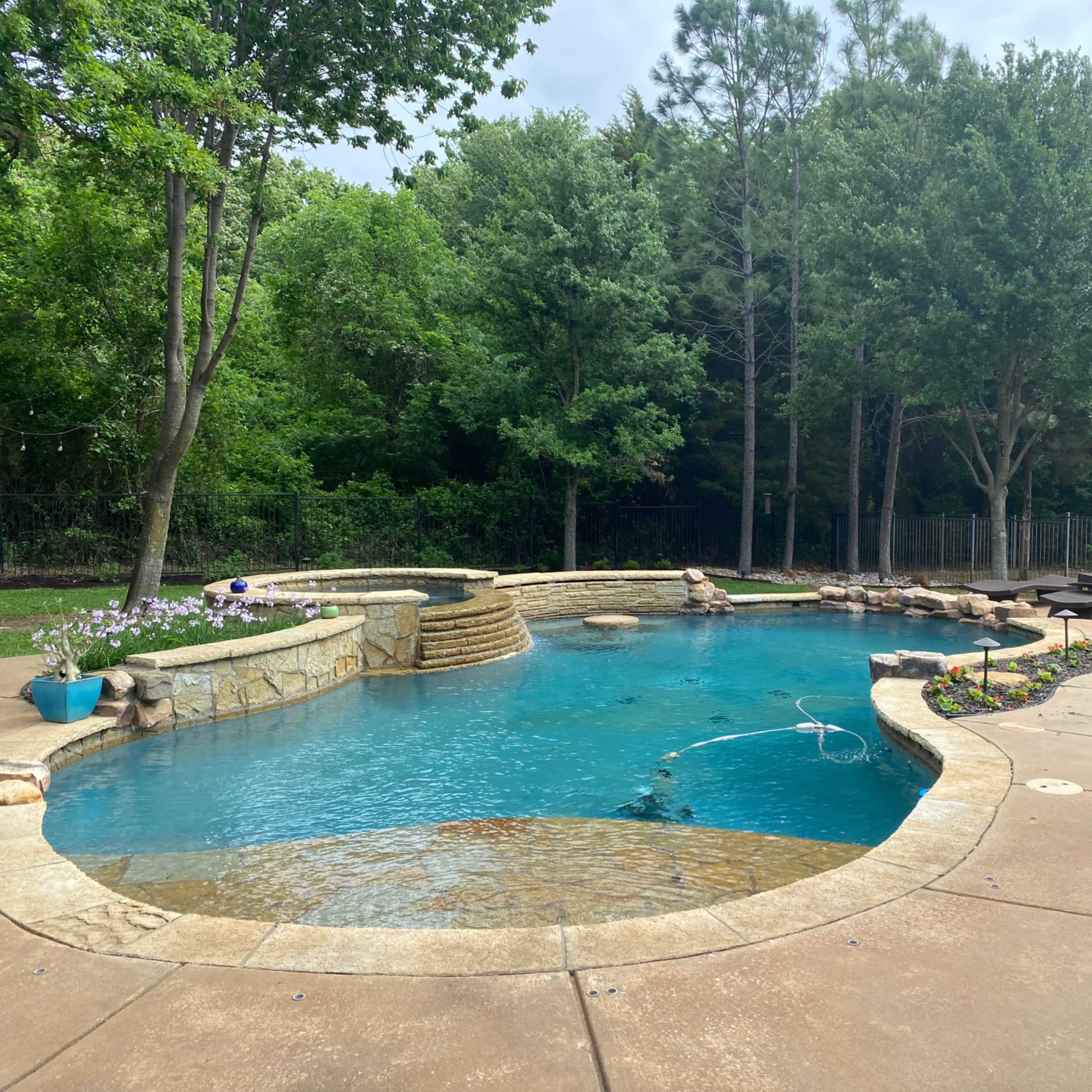 A backyard swimming pool with a stone edge features a waterfall, surrounded by greenery and a paved patio.