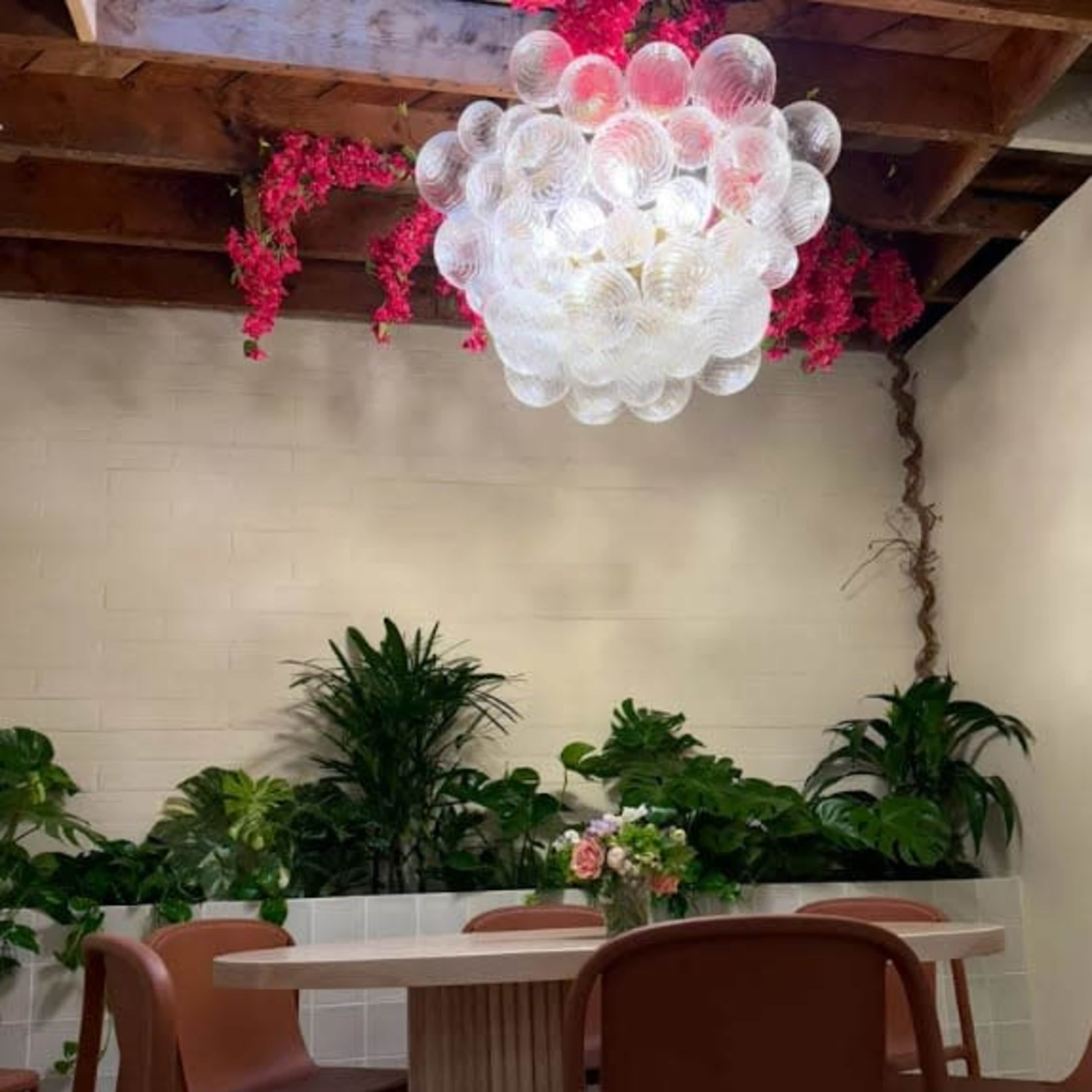 PorchLight Coffee Image in Pacific Beach, San Diego, CA