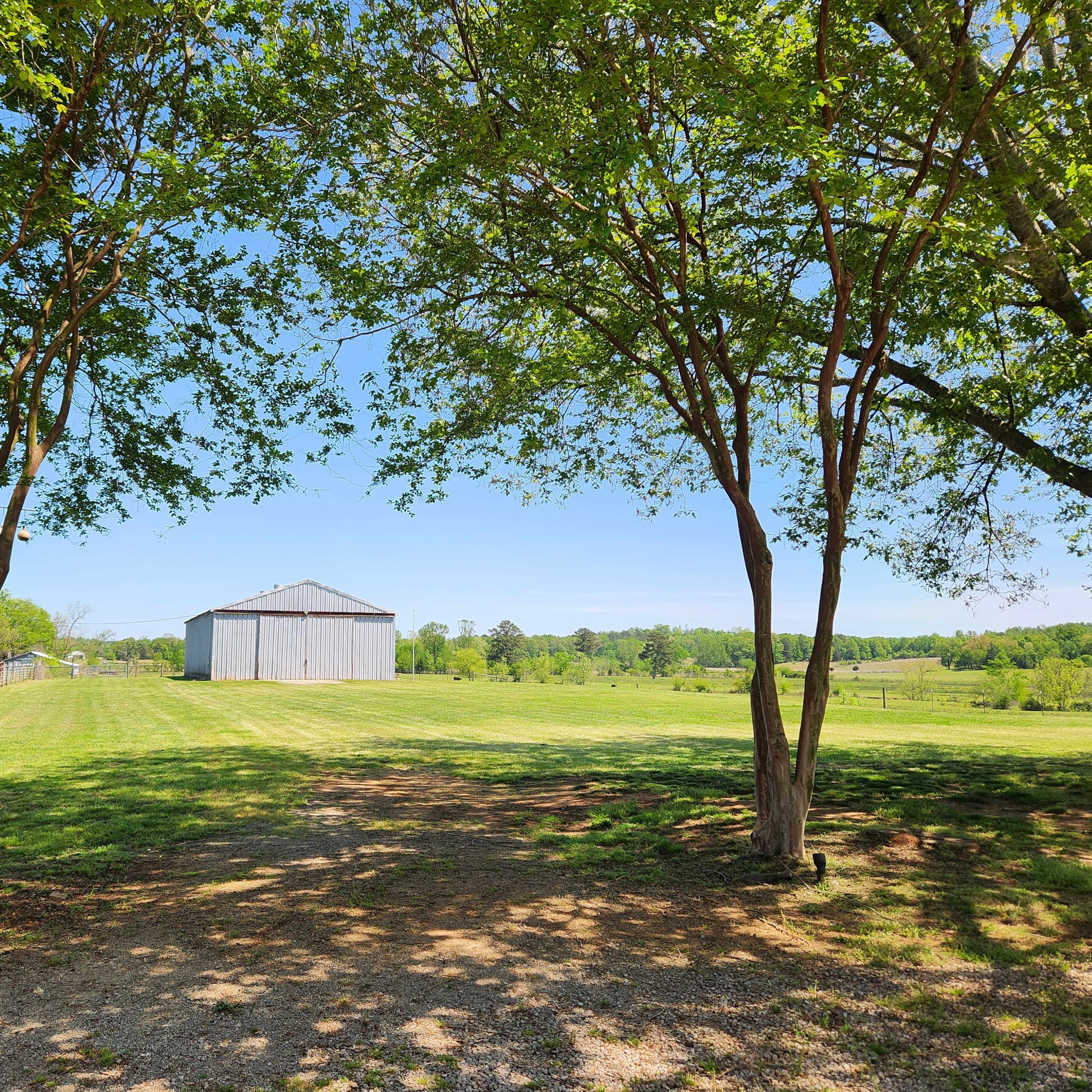 A clear blue sky frames a weathered barn standing in an open field, flanked by two young trees.