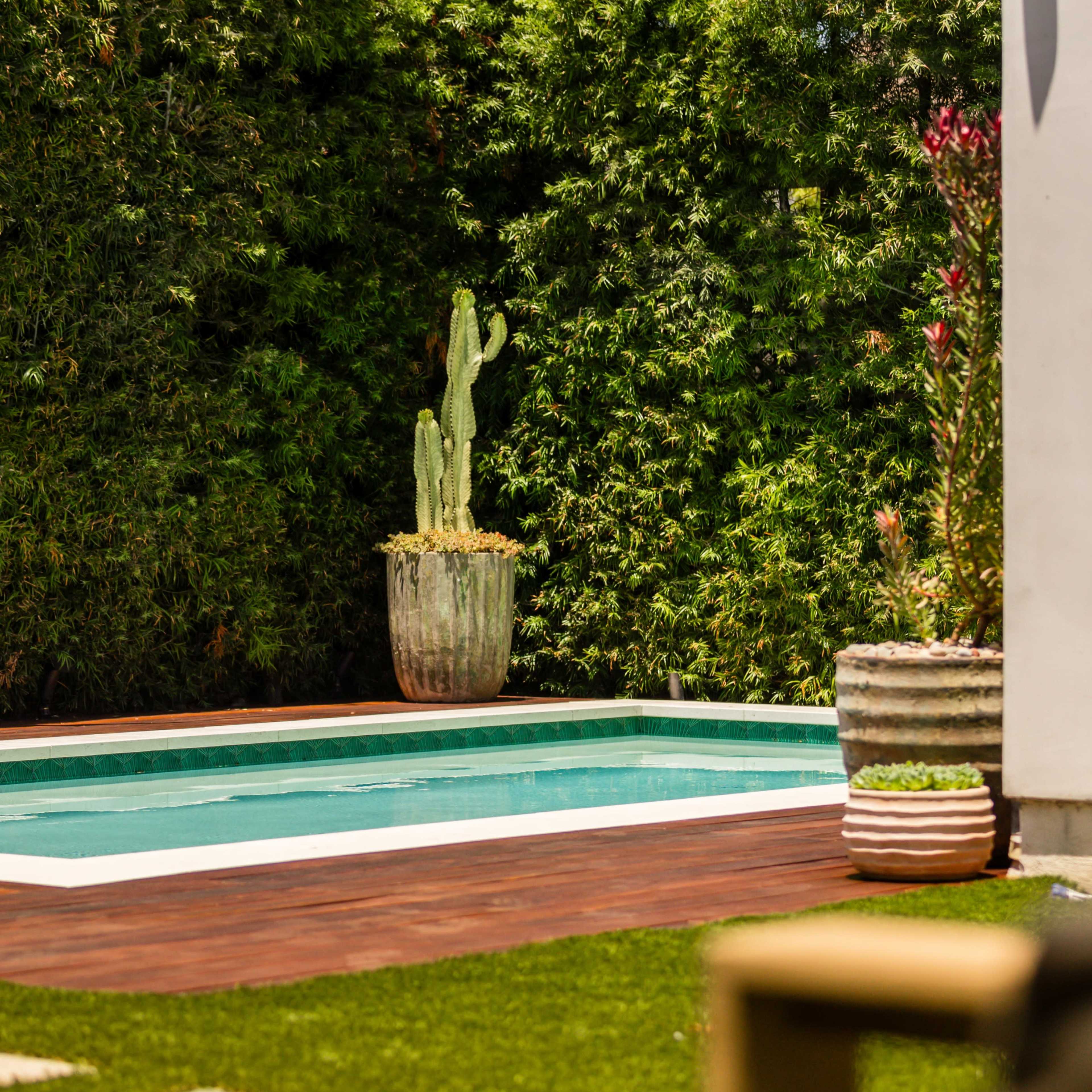 A rectangular swimming pool is surrounded by wooden decking and potted plants against a backdrop of green hedges.